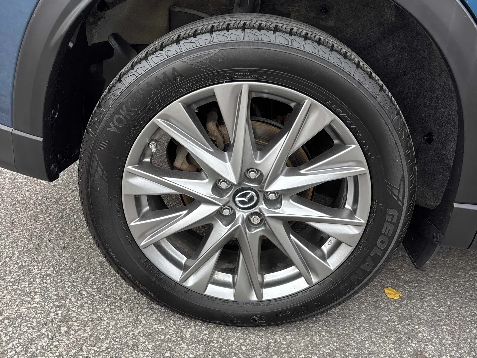 Tire
