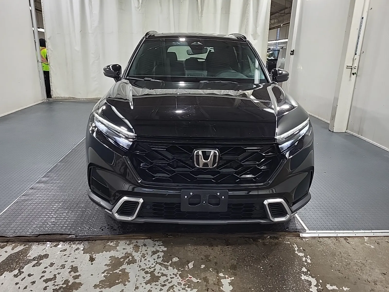 Full Front Photo