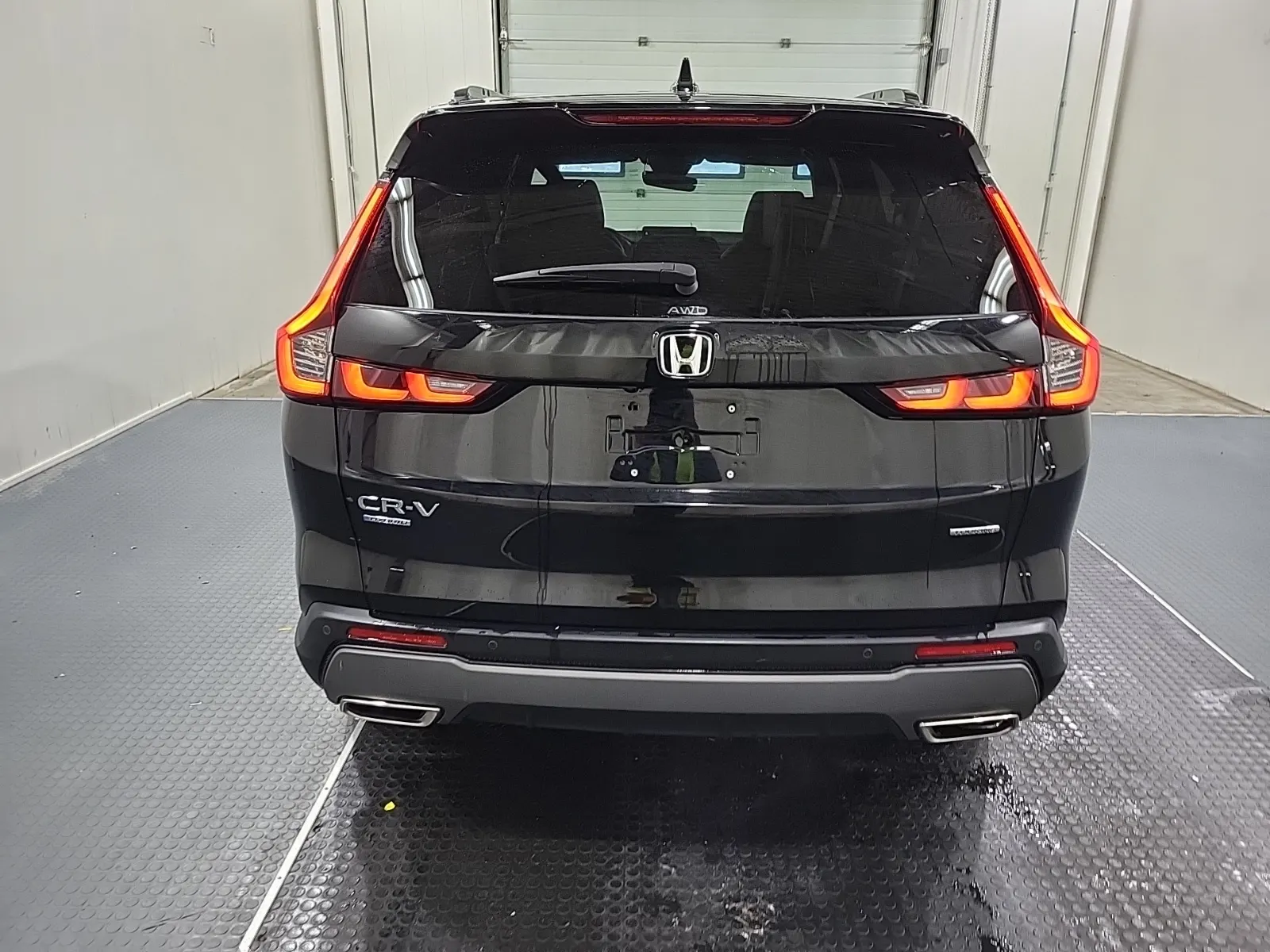 Full Rear Photo