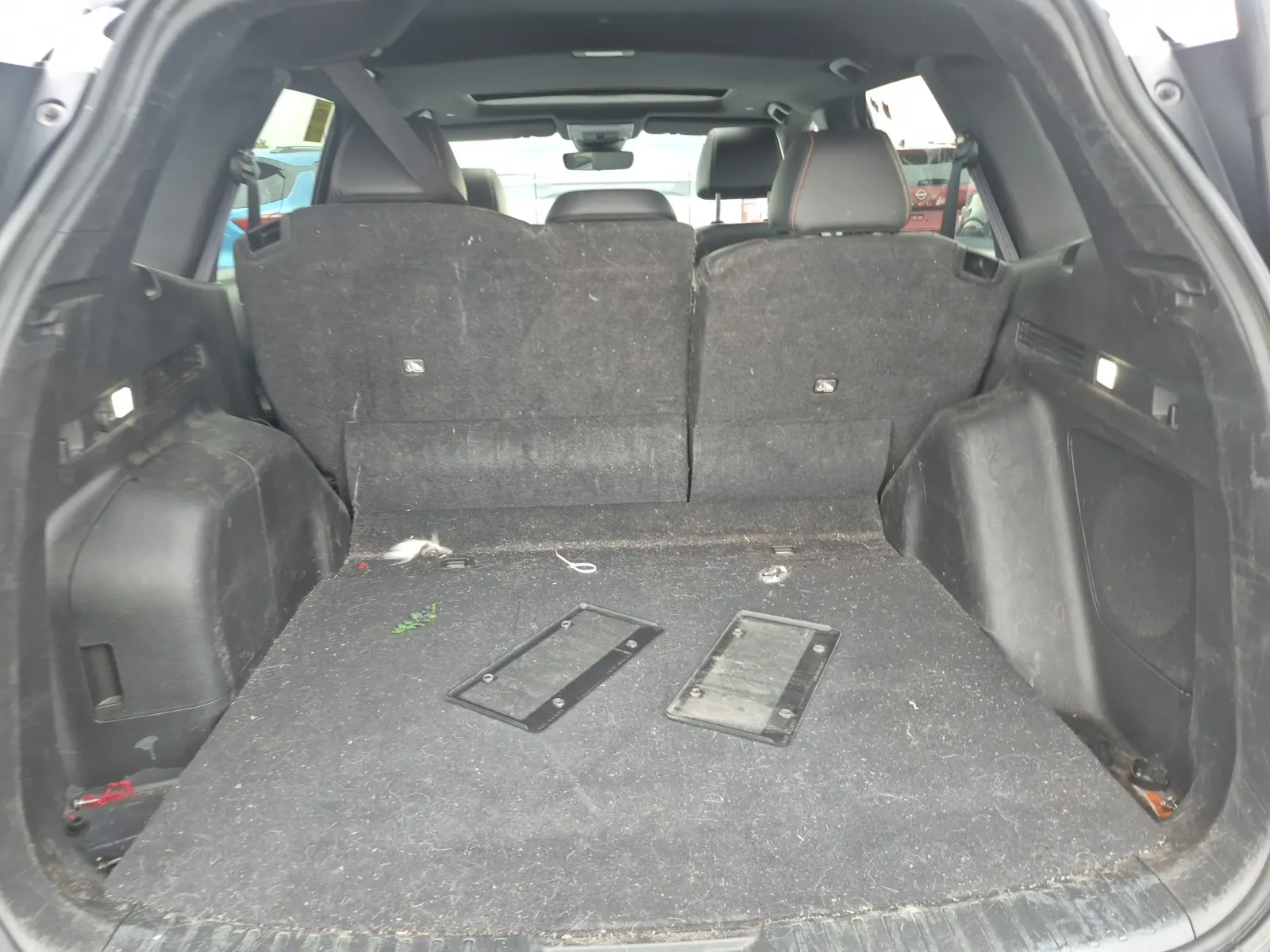Cargo Area Photo