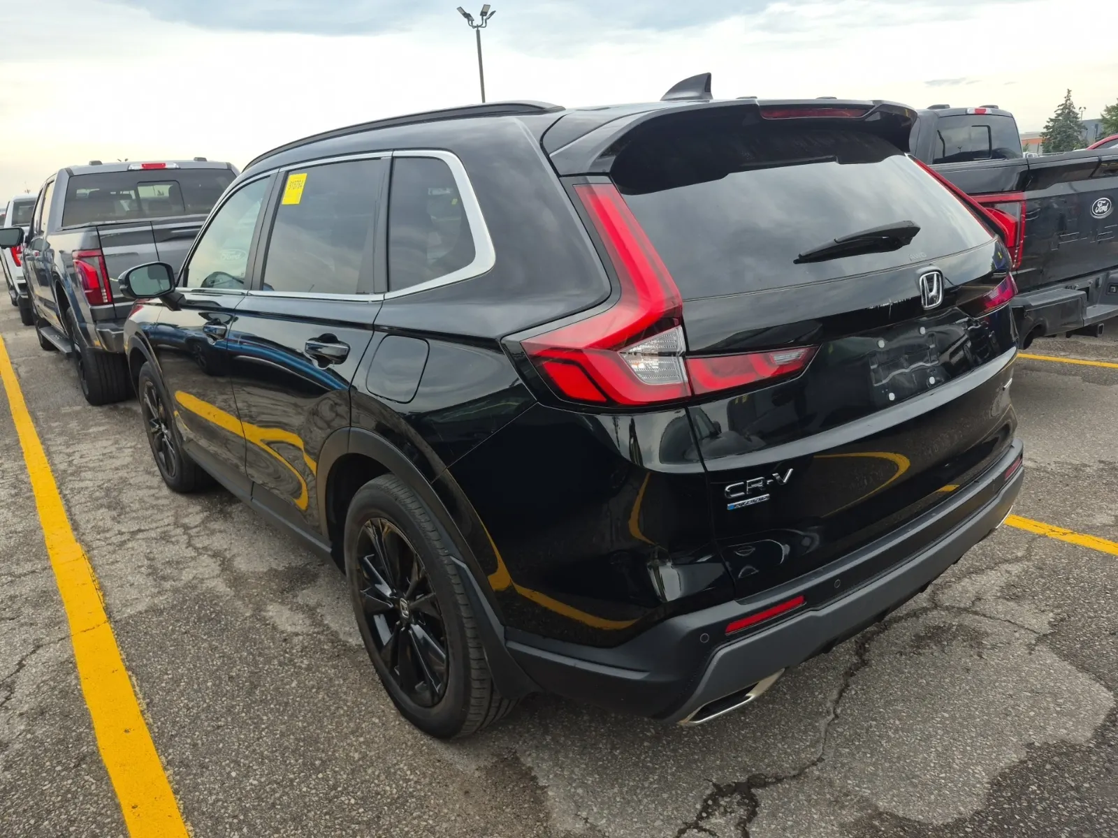 Driver Rear 3/4 Photo
