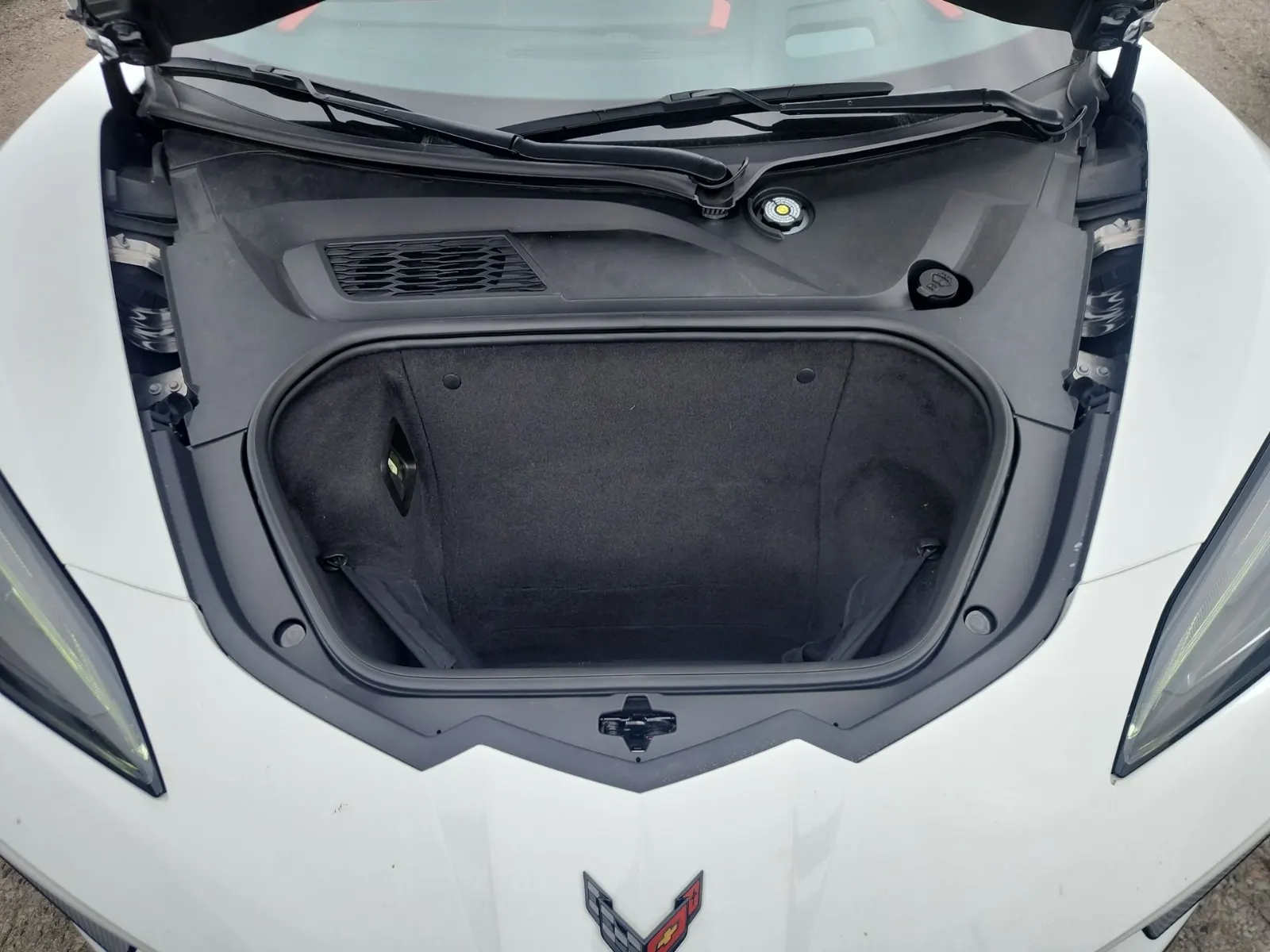 Cargo Area Photo