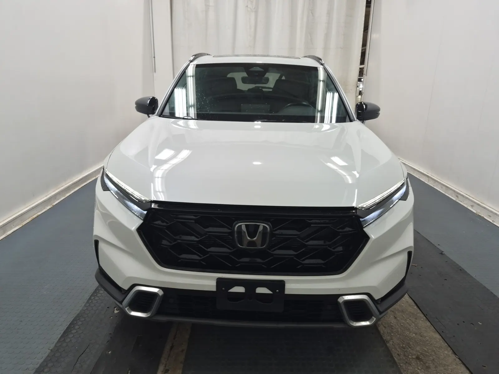Full Front Photo