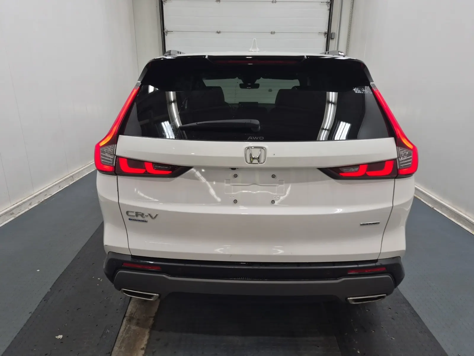 Full Rear Photo