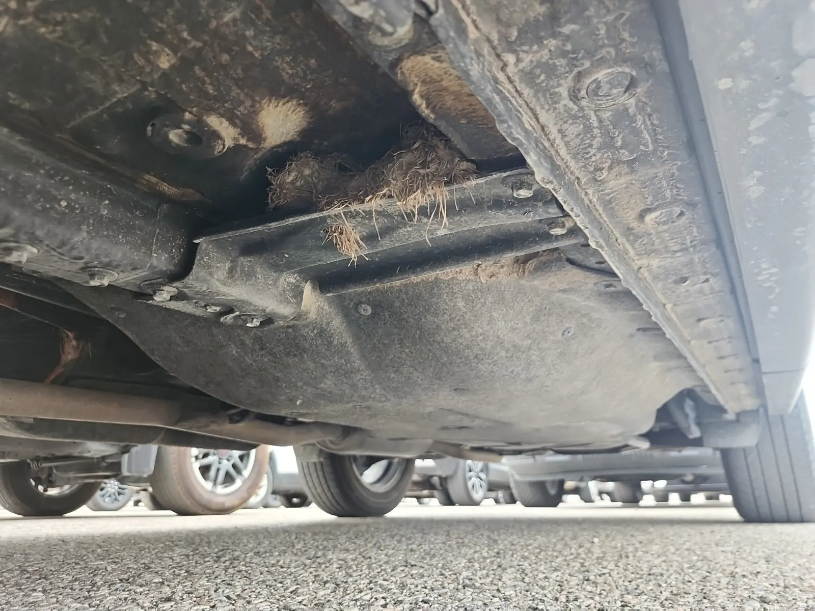 Undercarriage - Driver Photo