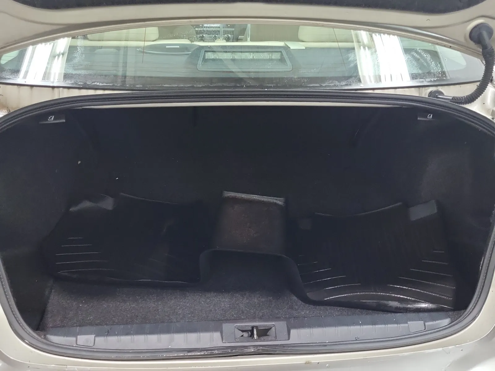 Cargo Area Photo