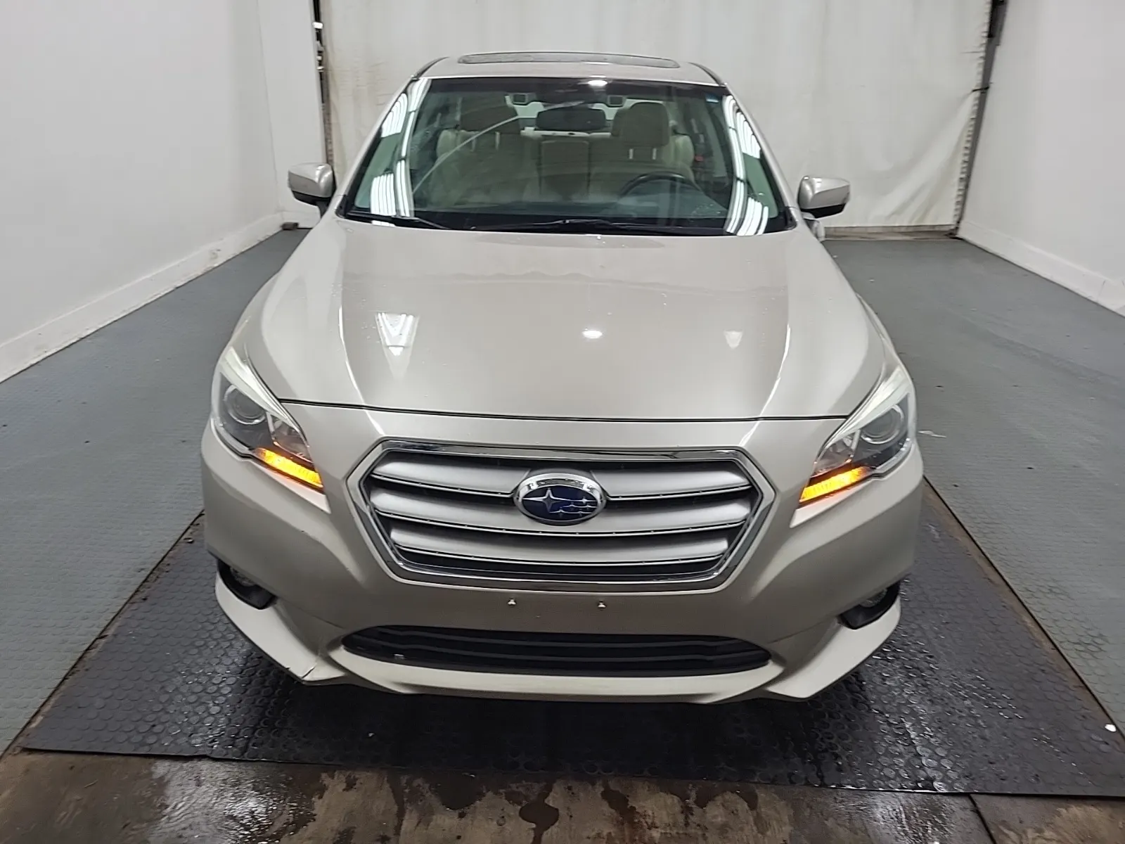 Full Front Photo