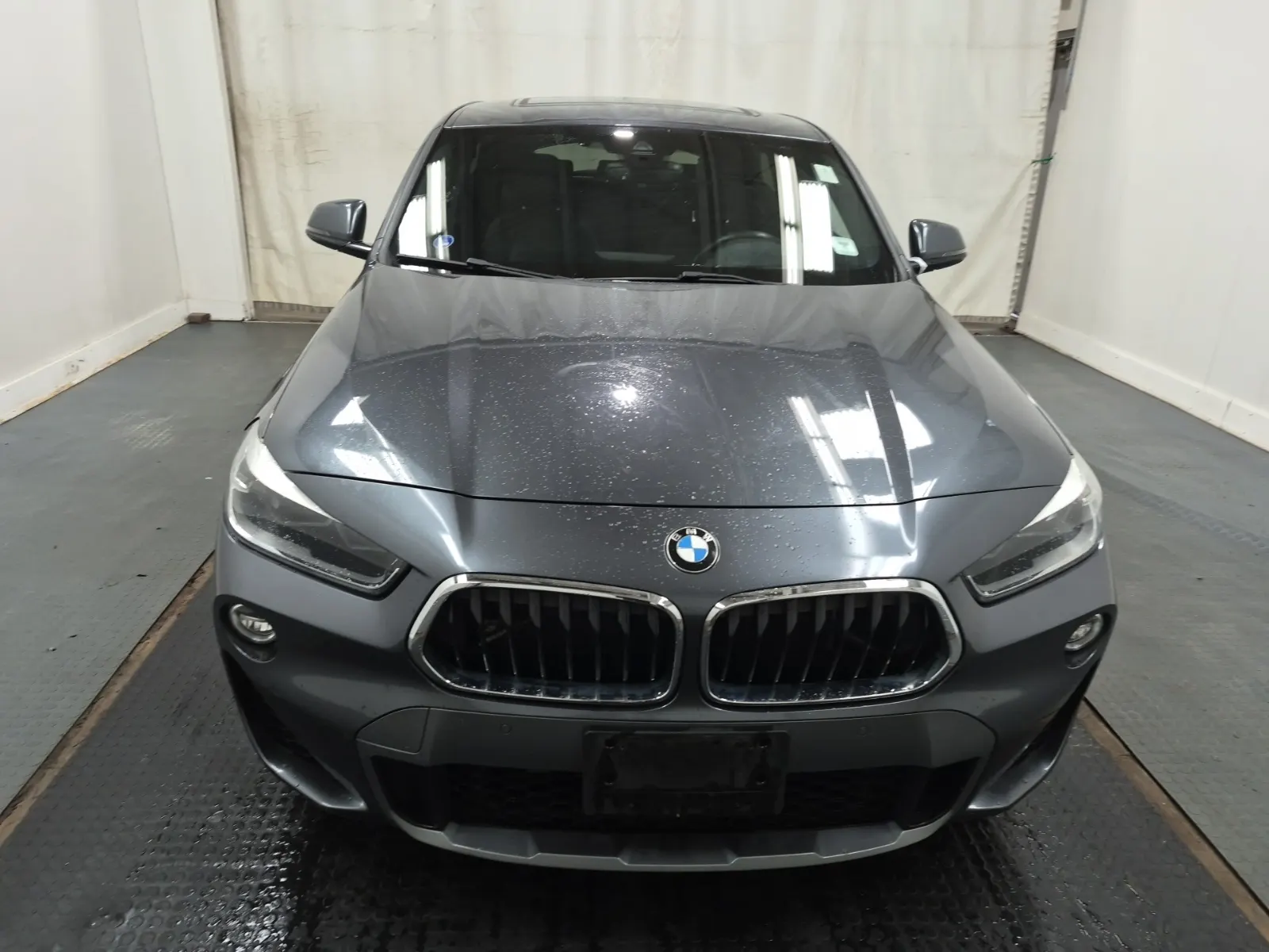 Full Front Photo
