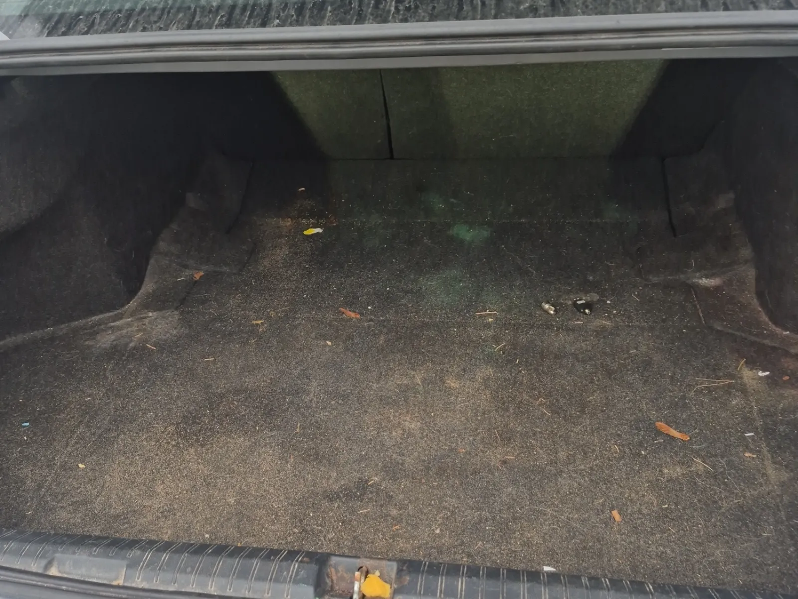 Cargo Area Photo
