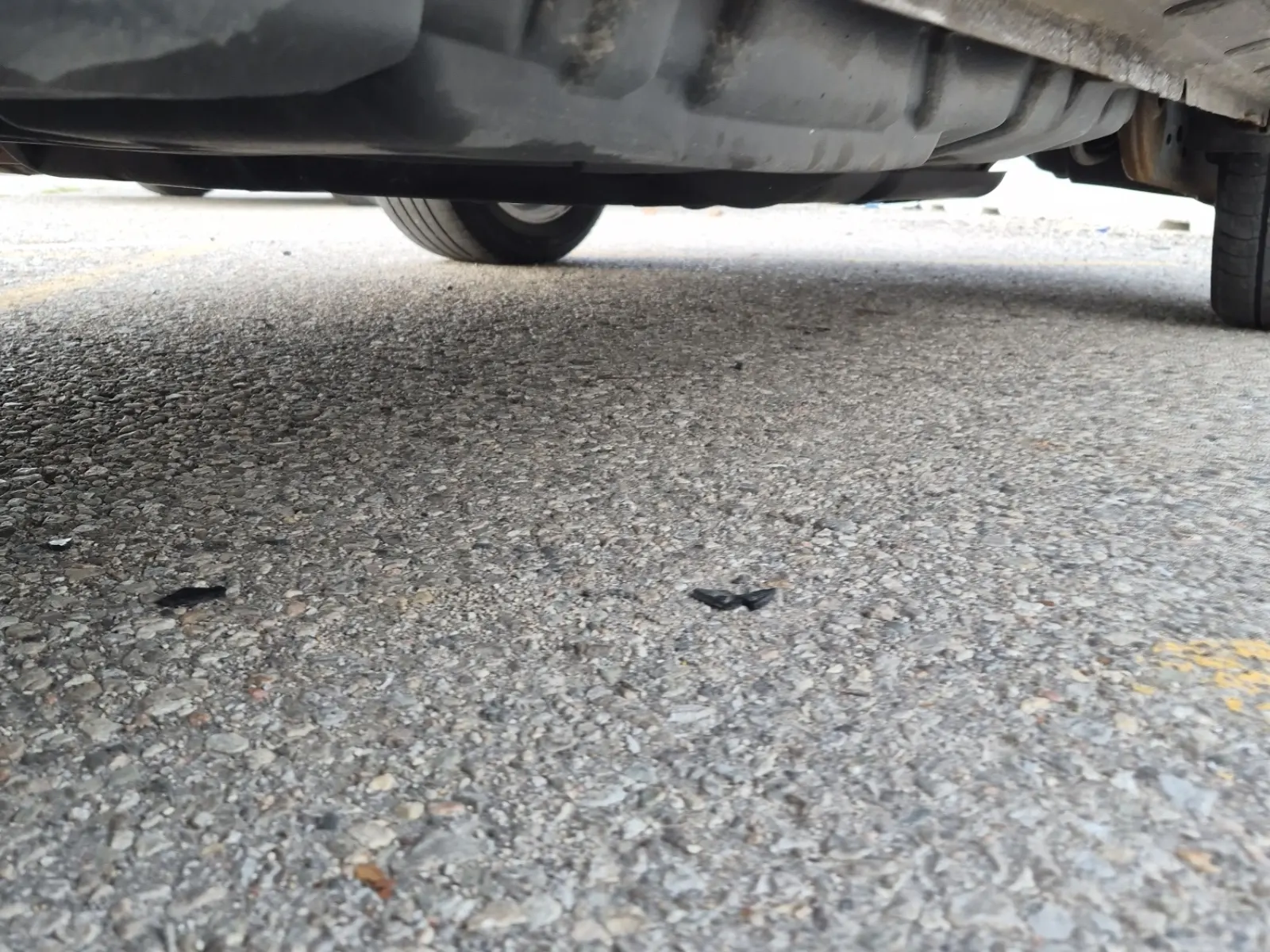 Undercarriage - Driver Photo
