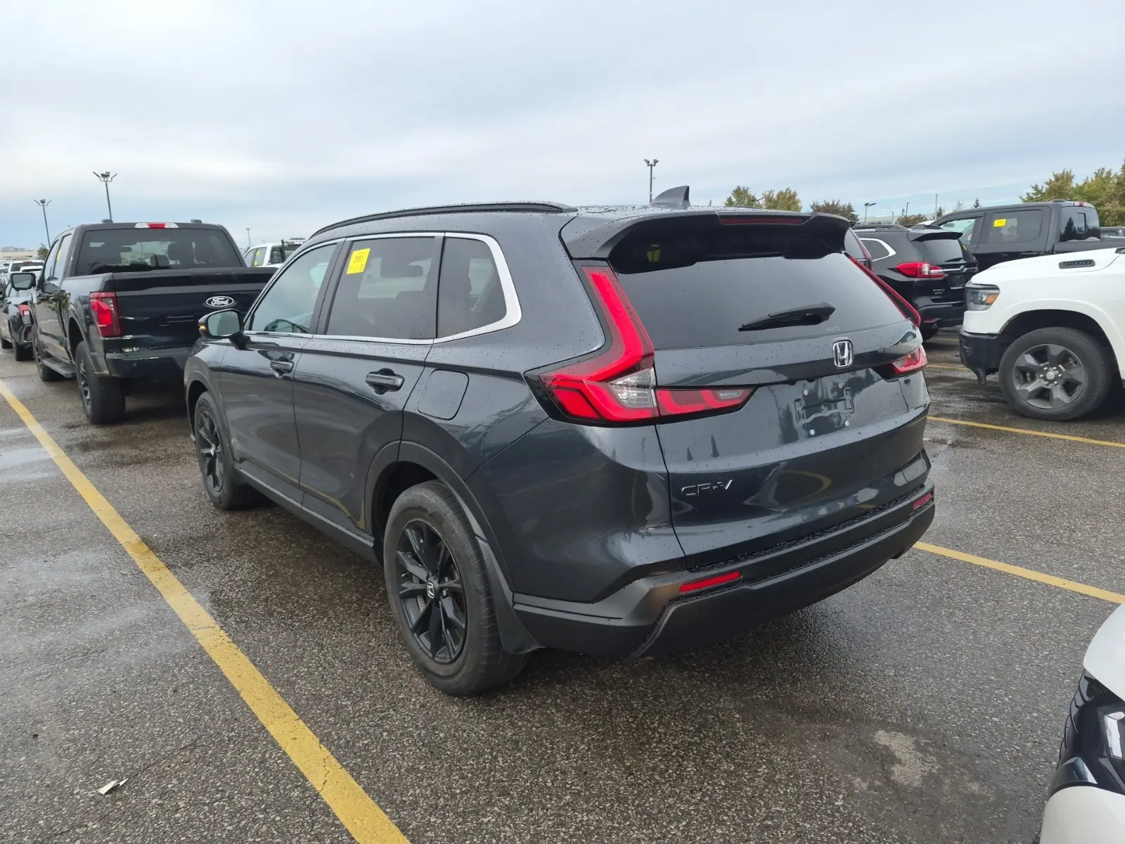 Driver Rear 3/4 Photo