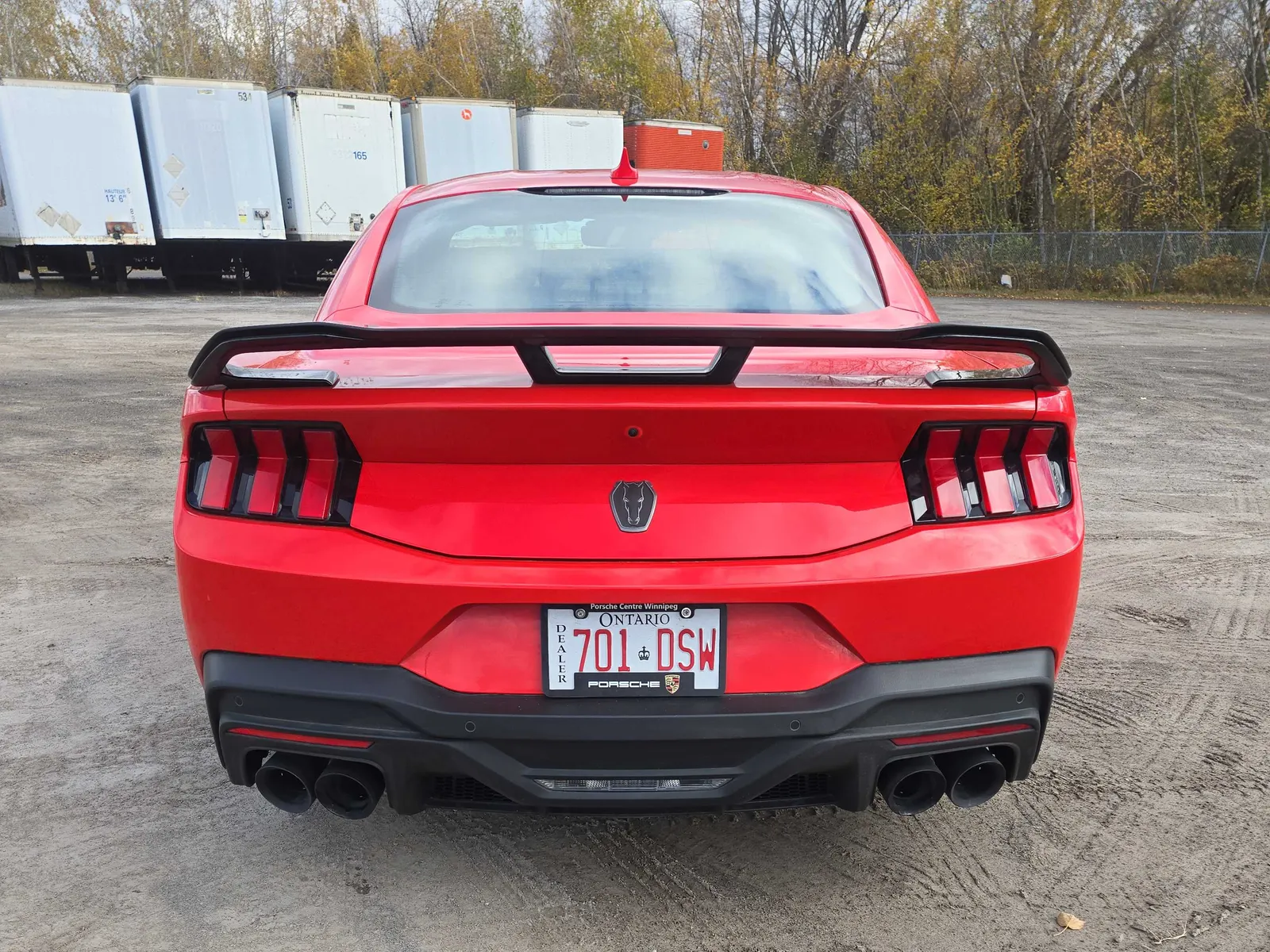 Back