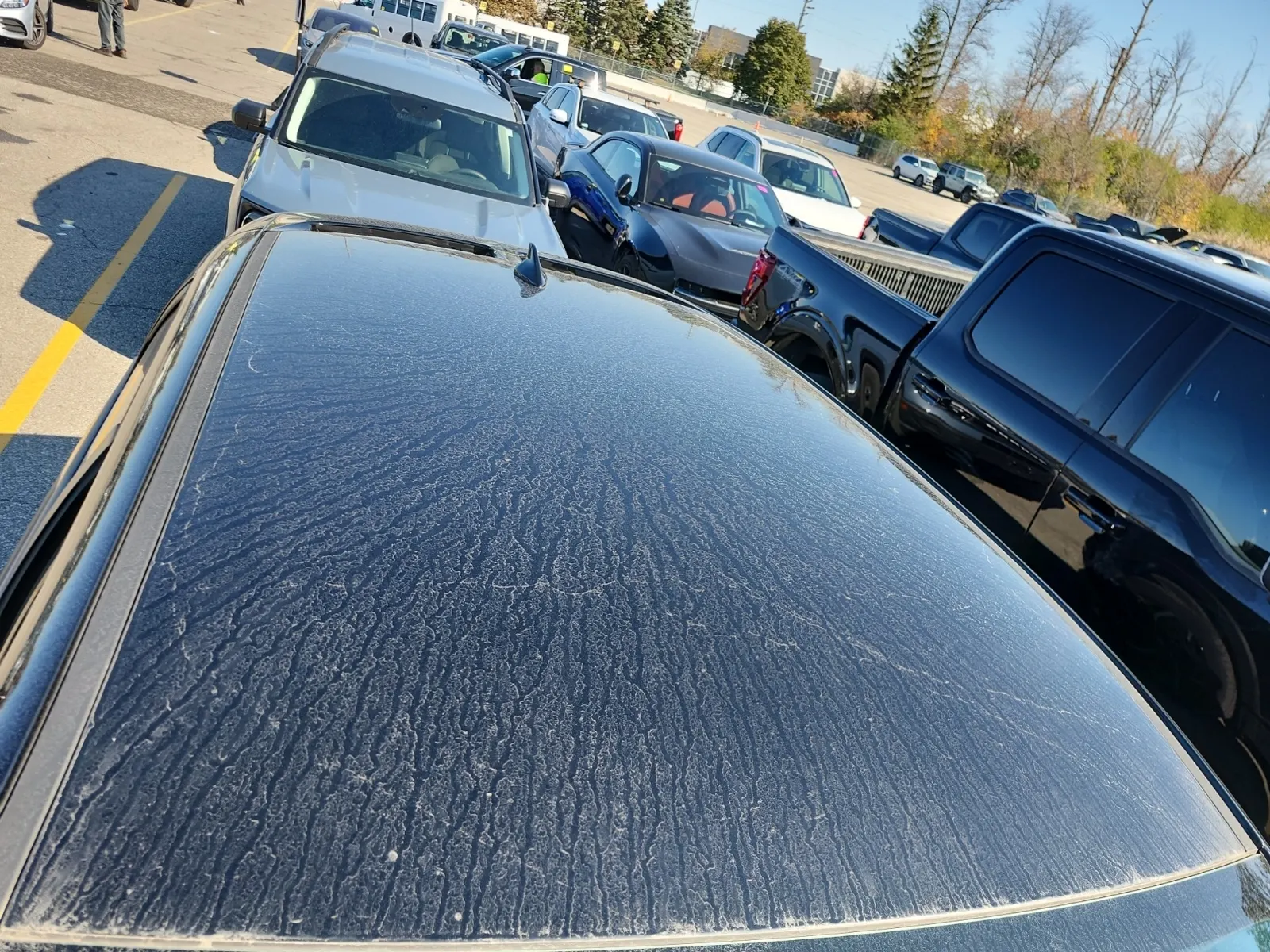 Exterior Roof Photo