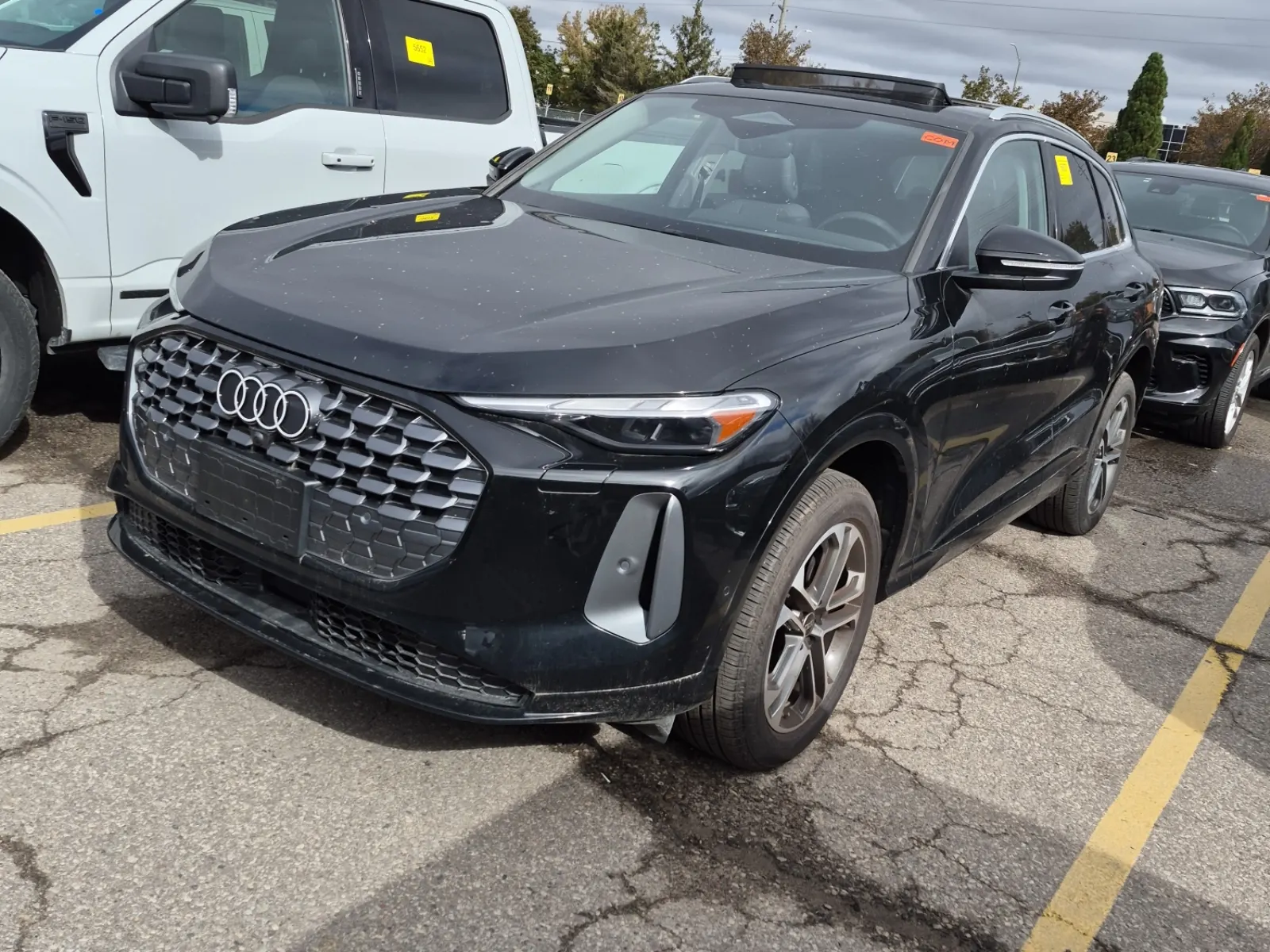 2025 Audi Q5