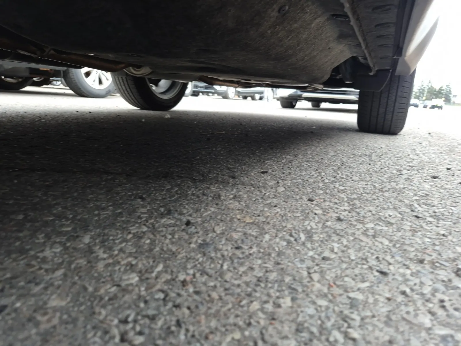 Undercarriage - Driver Photo