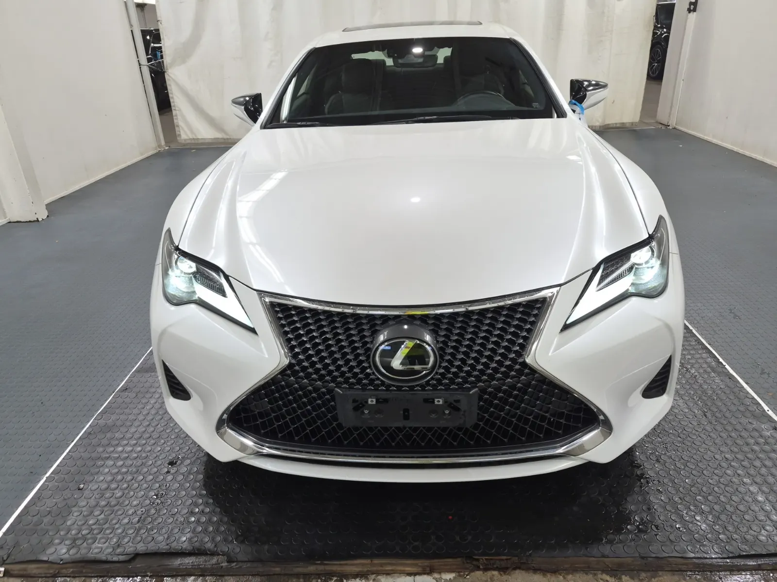 Full Front Photo