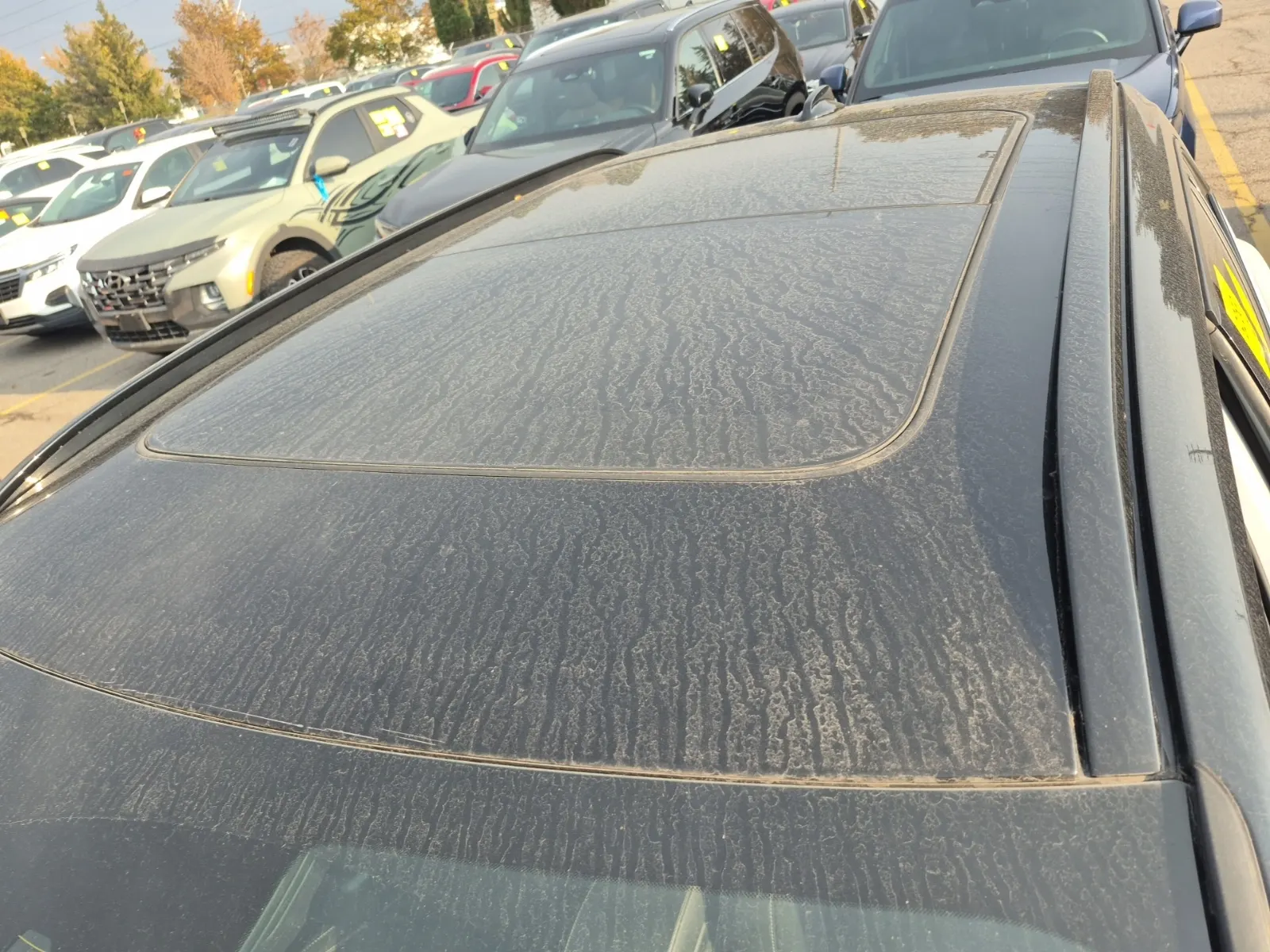 Exterior Roof Photo