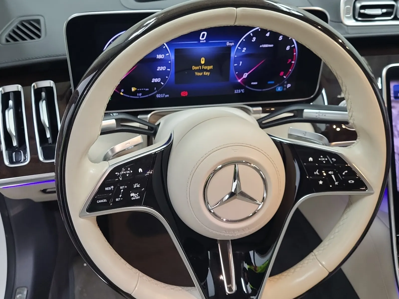 Steering Wheel