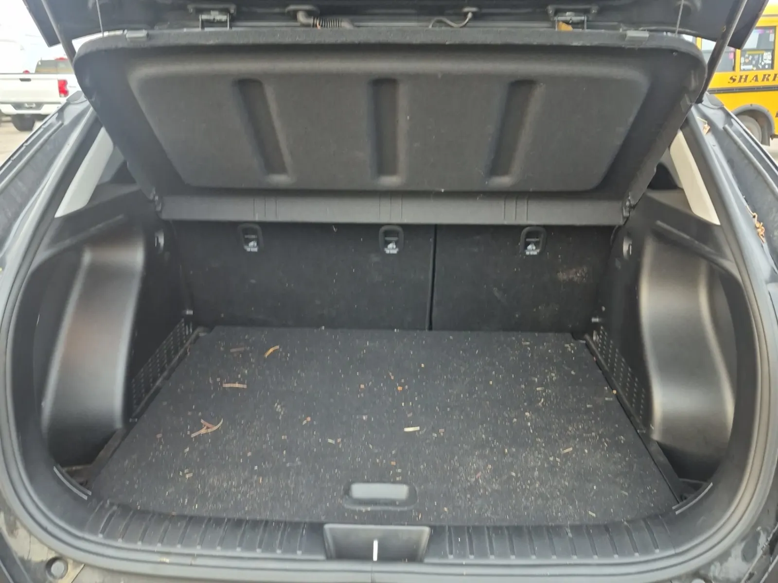 Cargo Area Photo