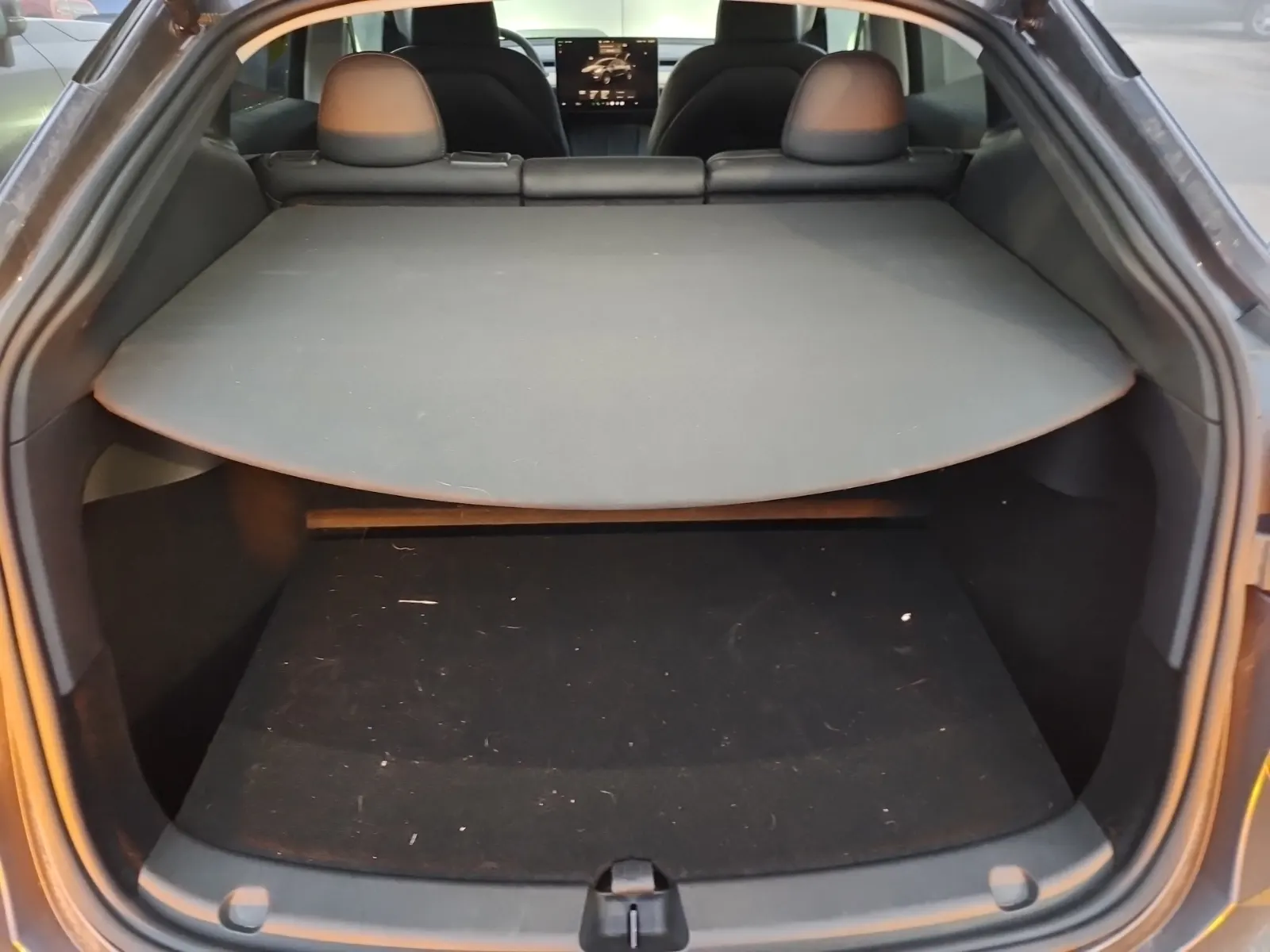 Cargo Area Photo