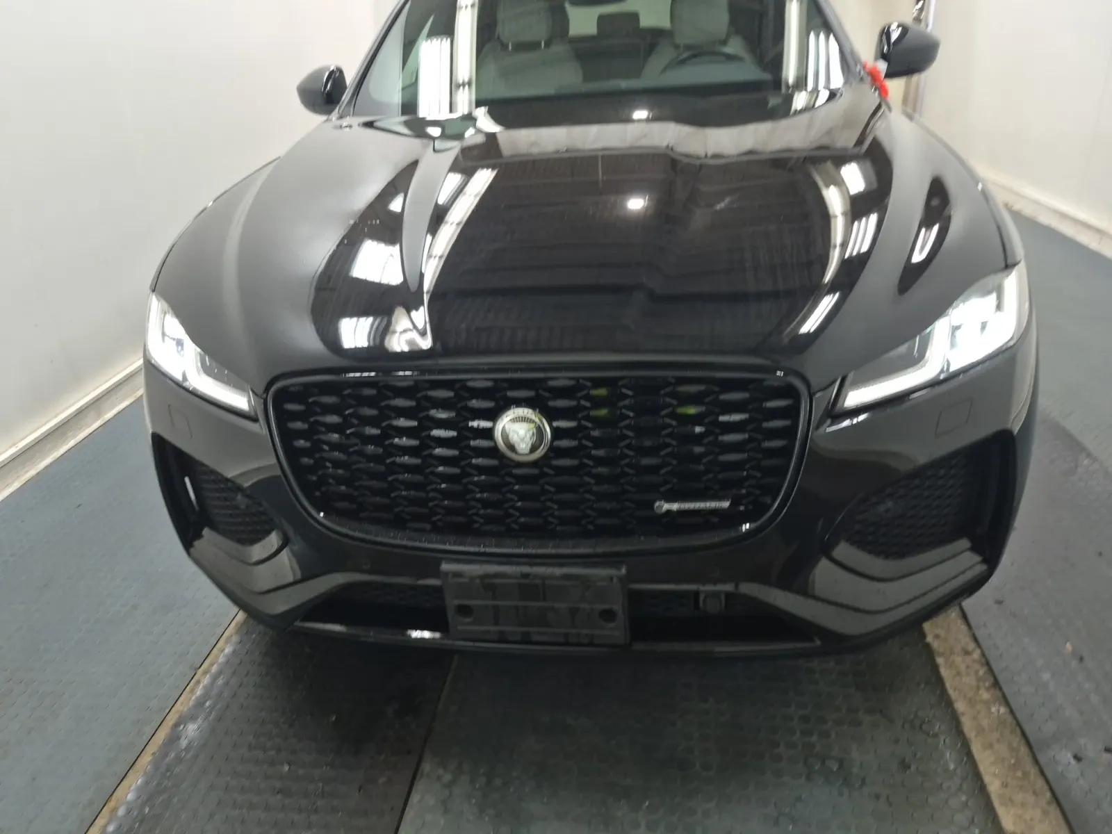 Full Front Photo