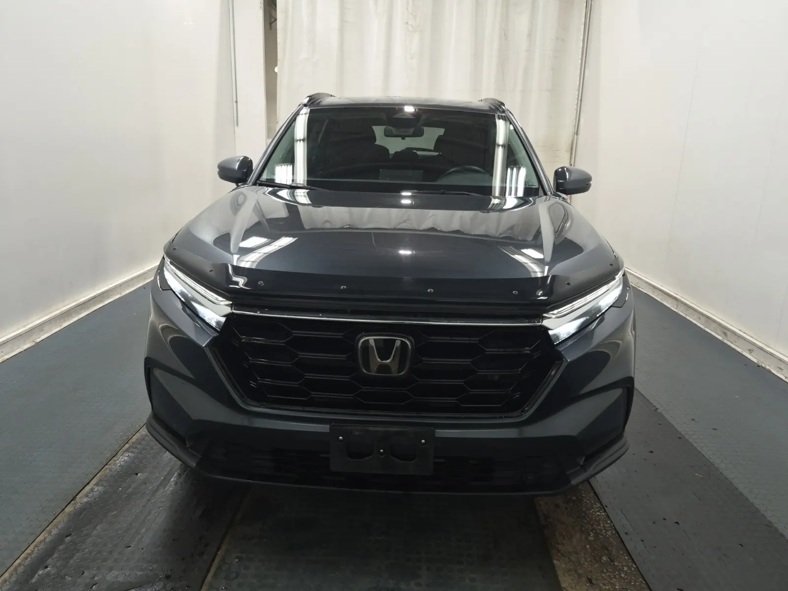 Full Front Photo