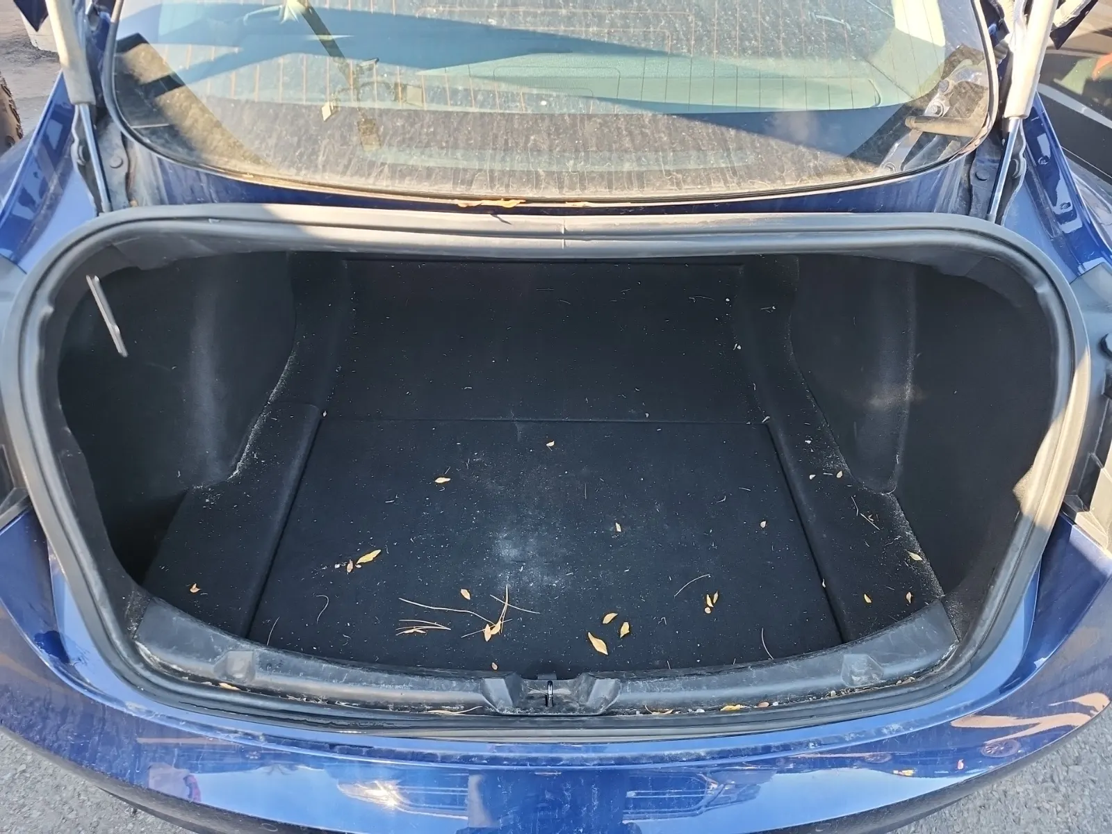 Cargo Area Photo