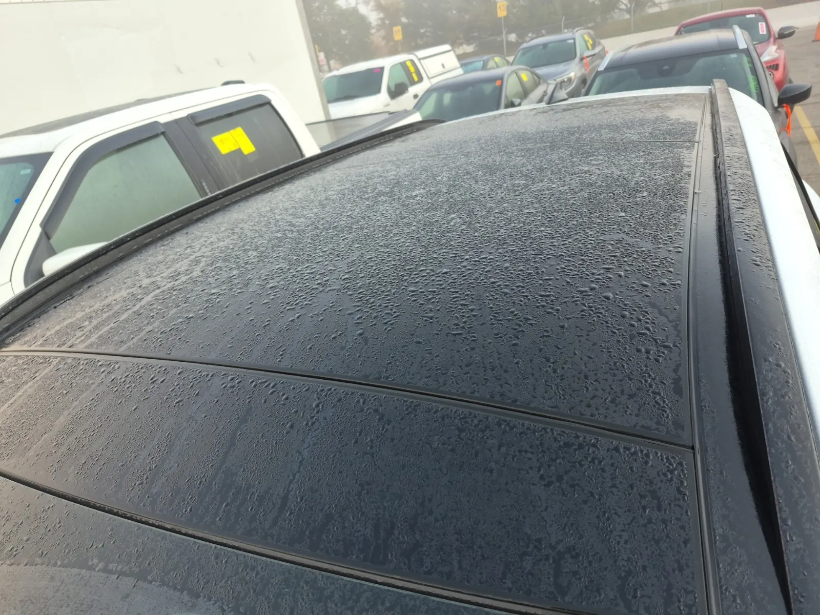 Exterior Roof Photo