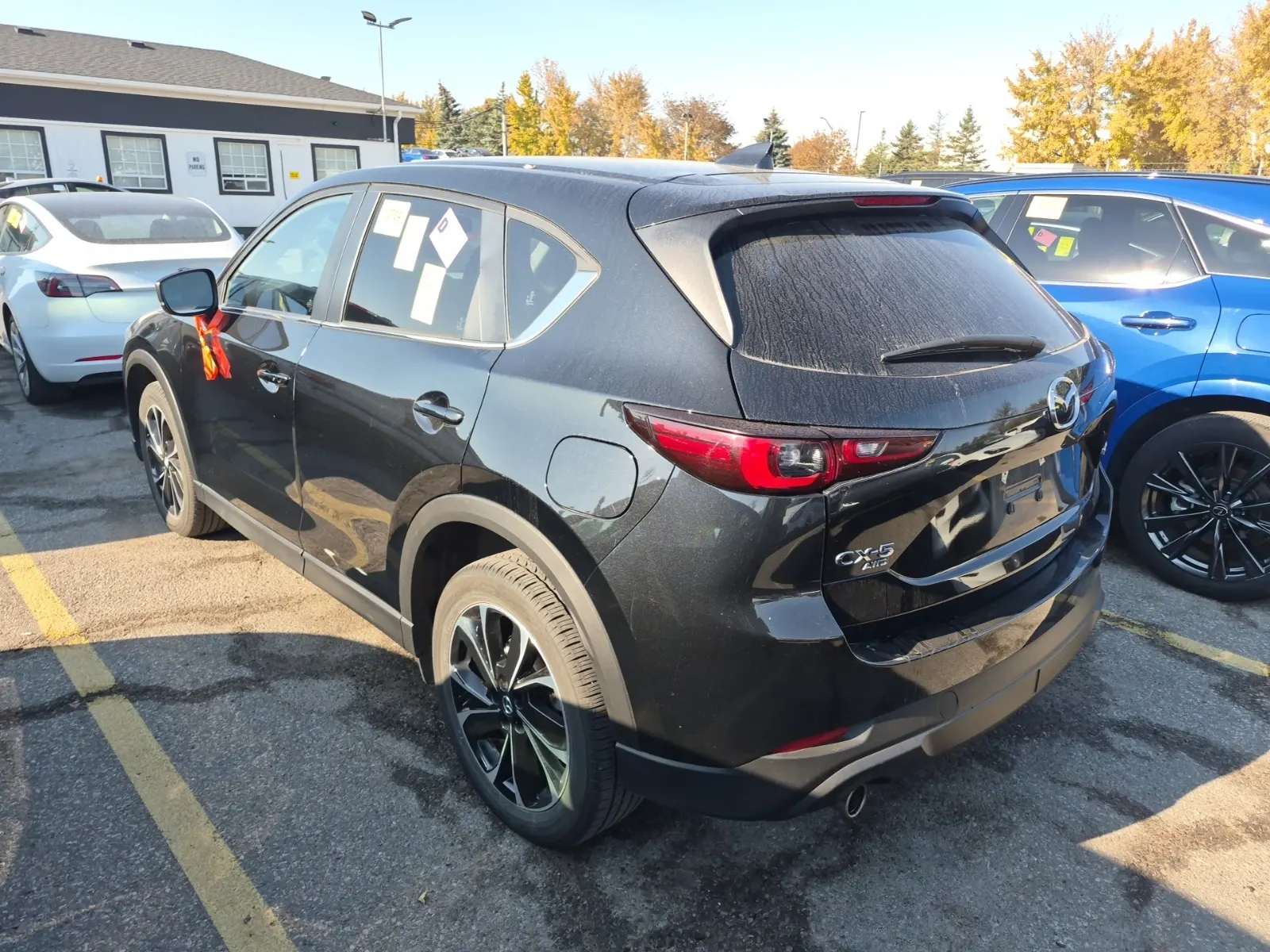 Driver Rear 3/4 Photo