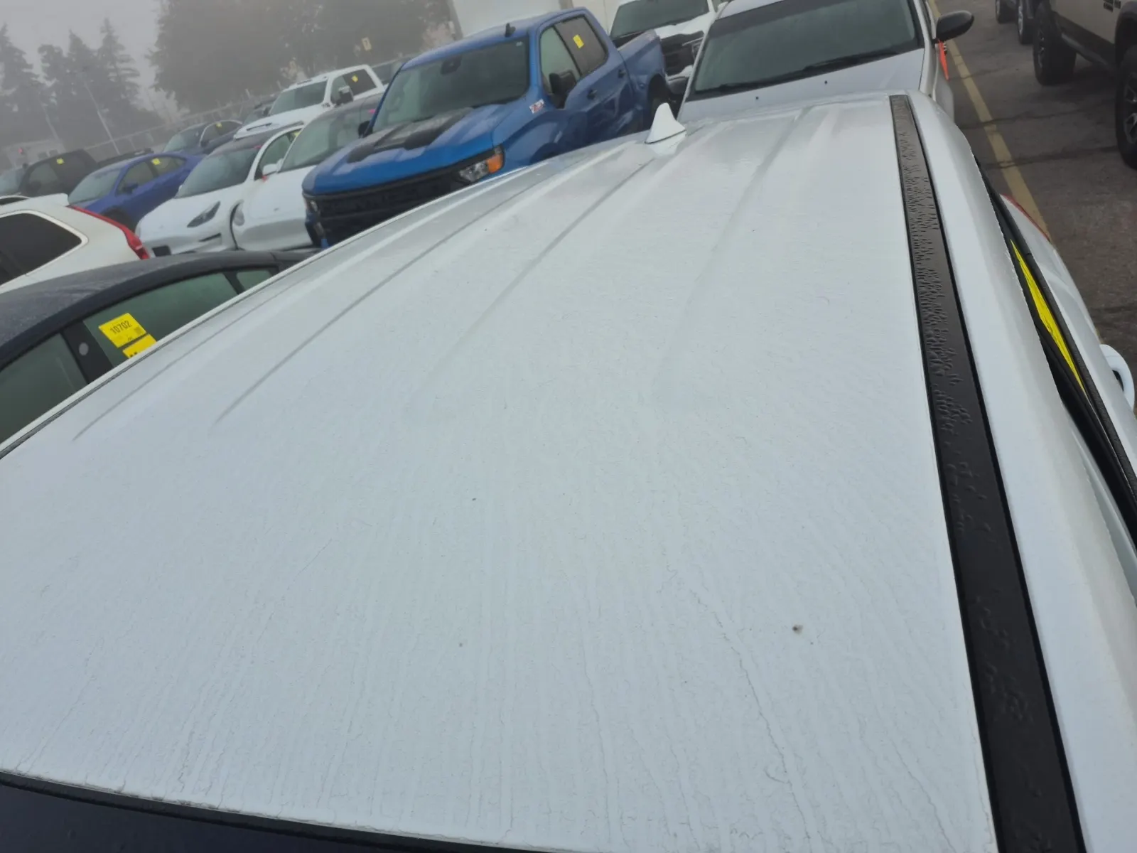 Exterior Roof Photo