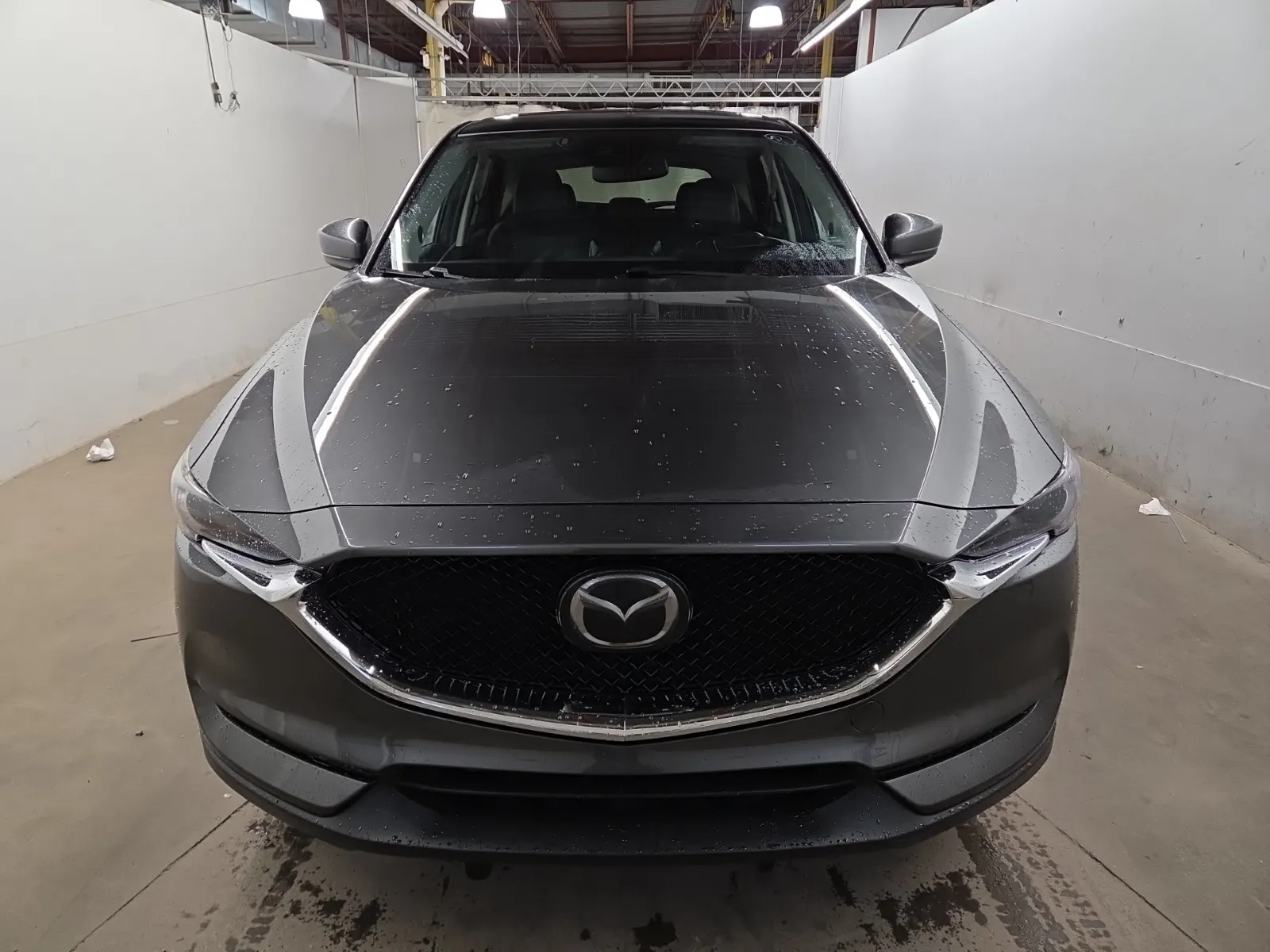 Full Front Photo
