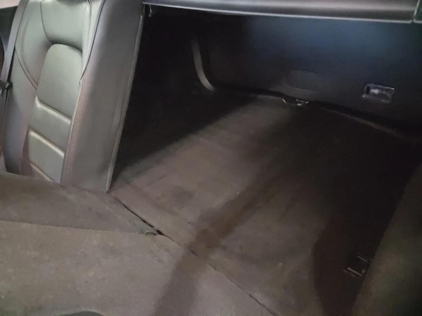 Cargo Area Photo