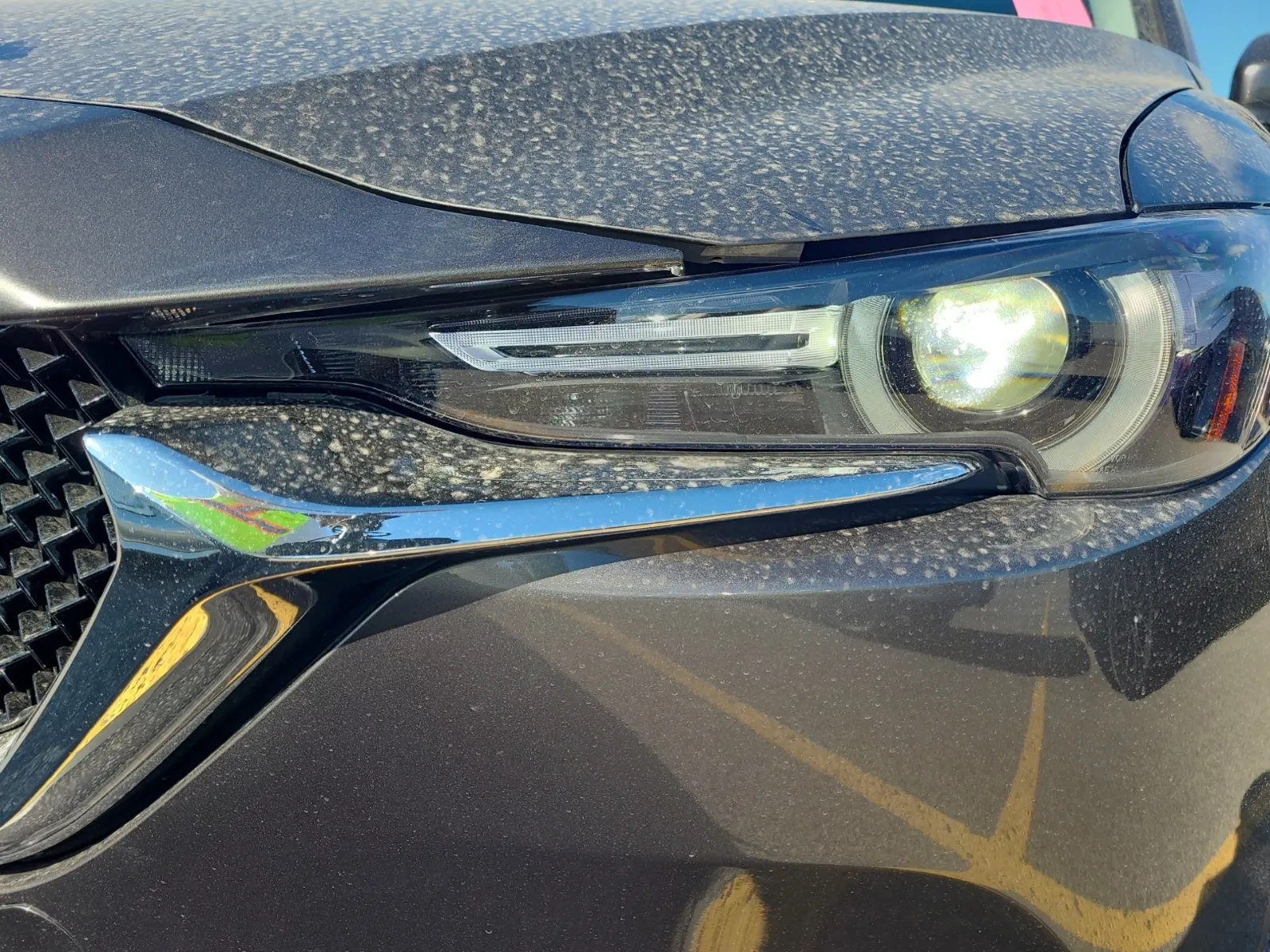 Extra Photo 6