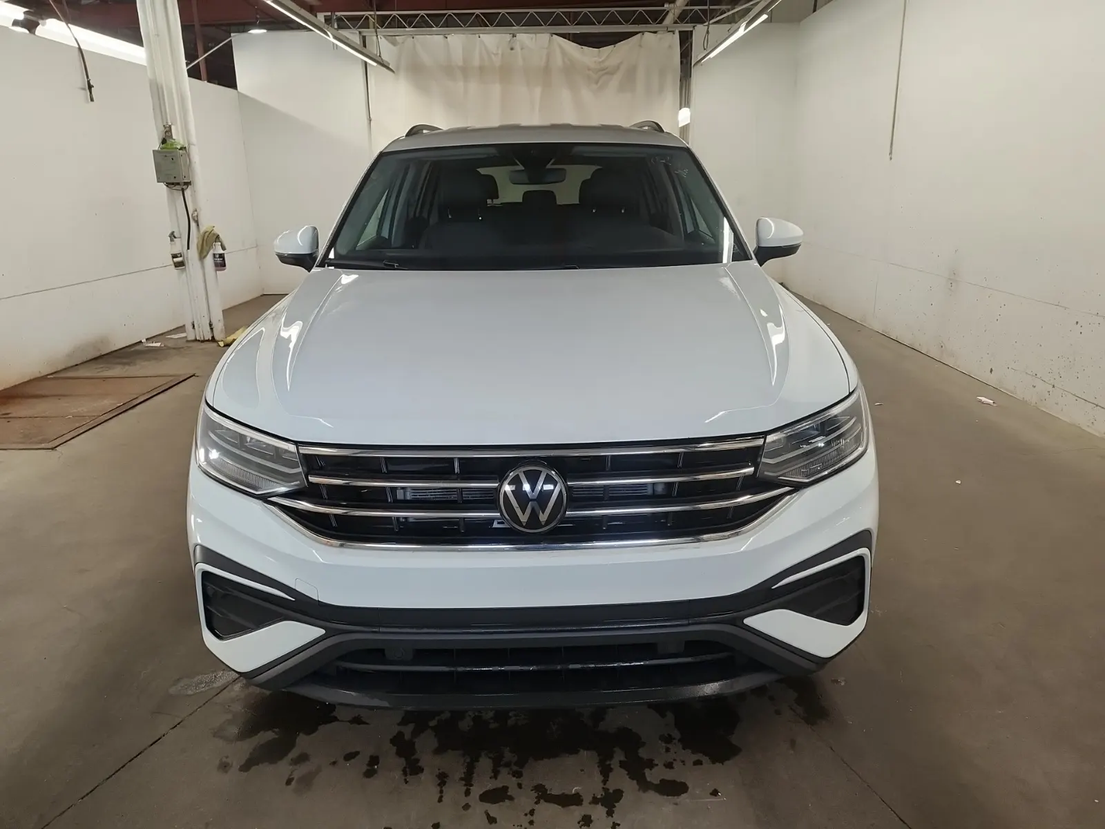 Full Front Photo