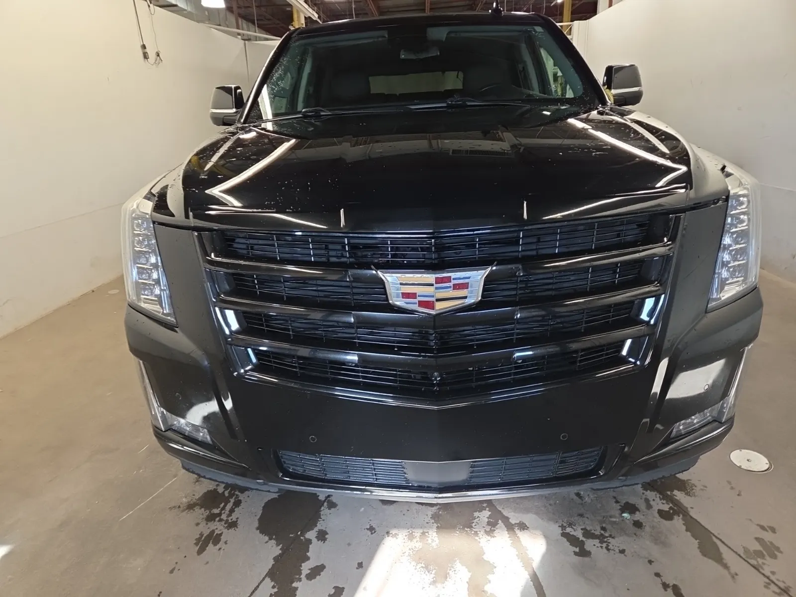Full Front Photo