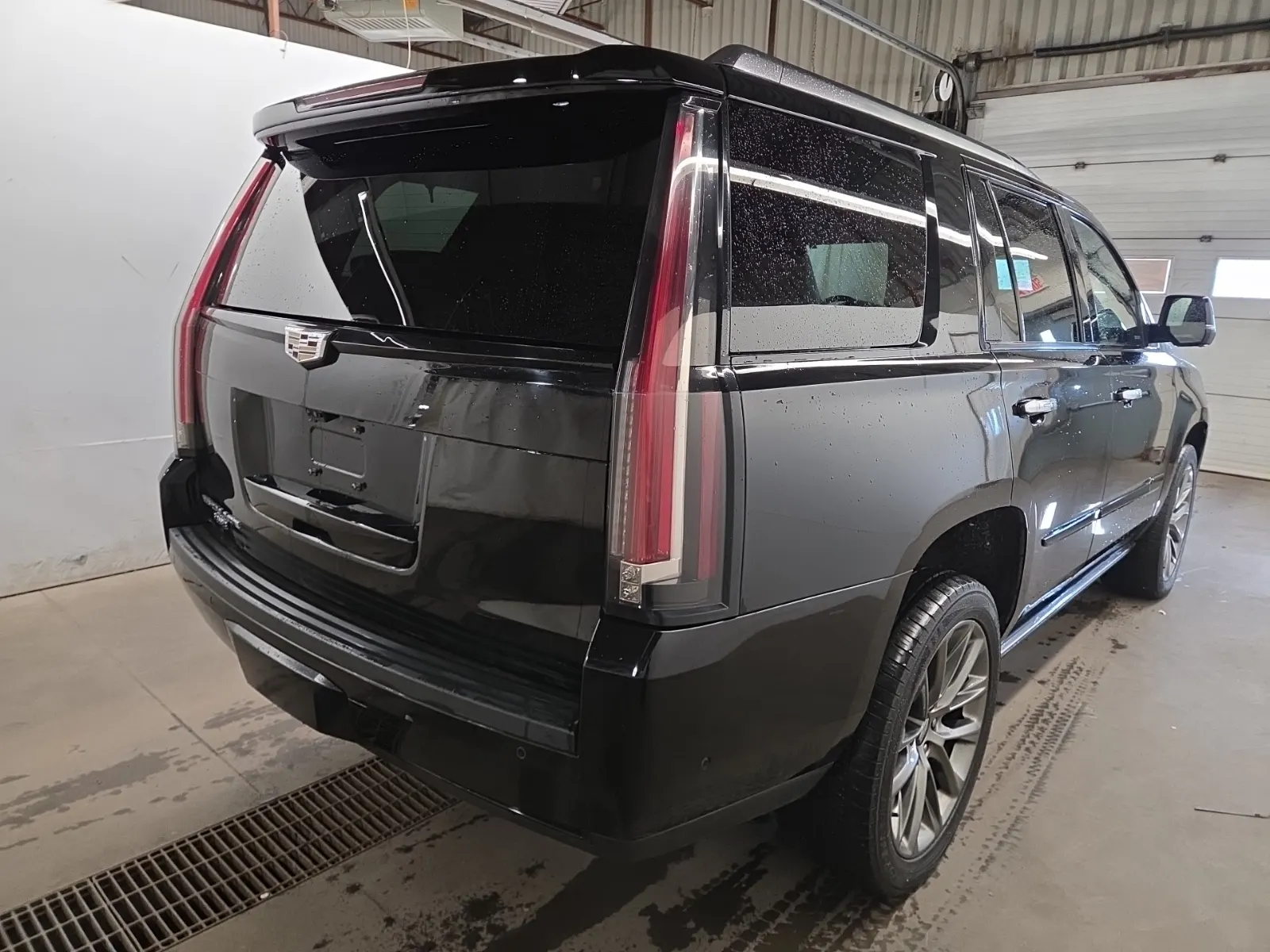 Passenger Rear 3/4 Photo
