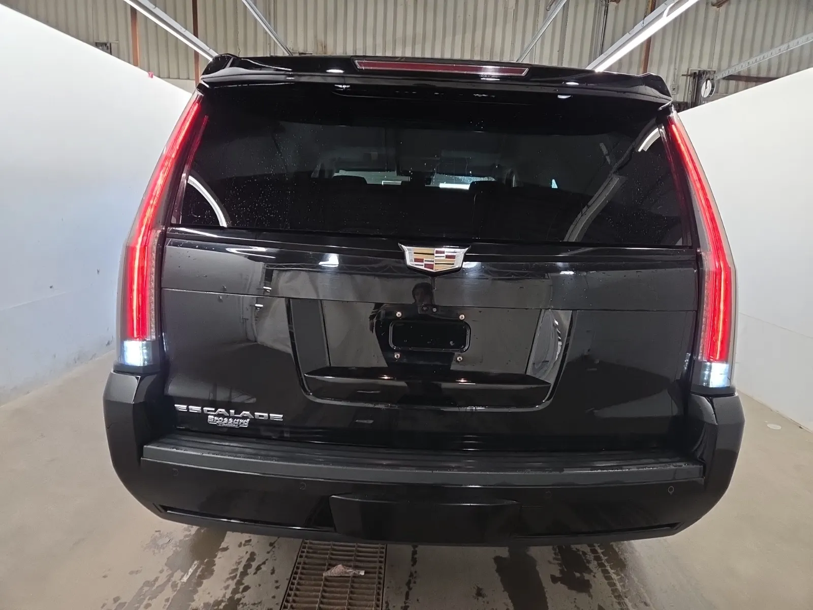 Full Rear Photo