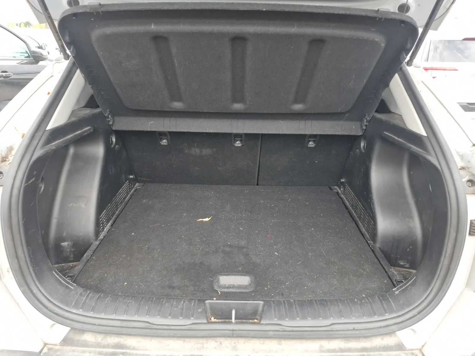 Cargo Area Photo