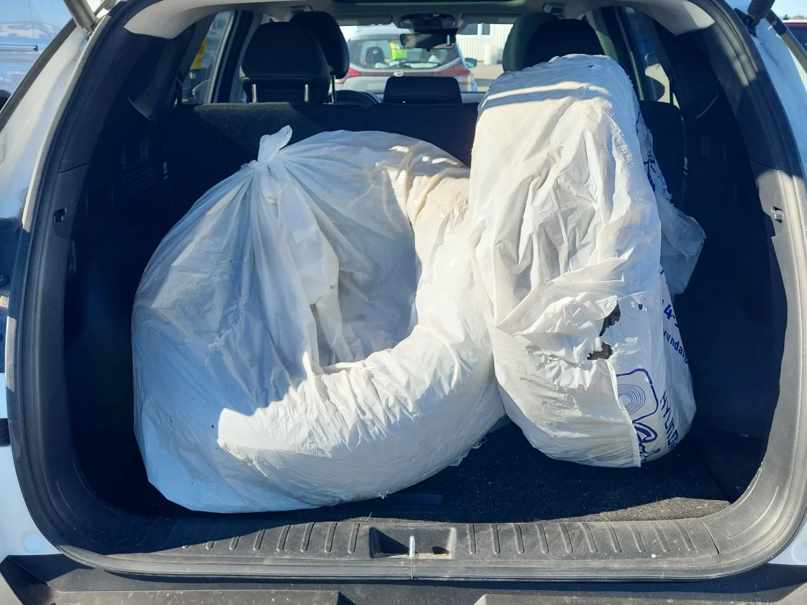 Cargo Area Photo