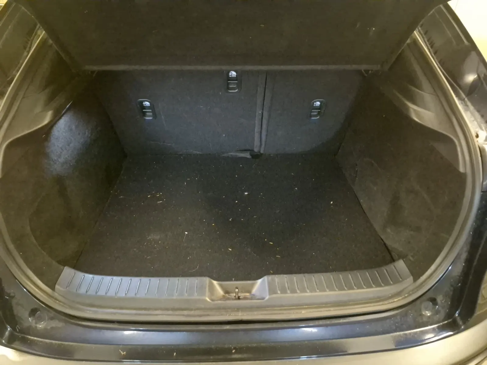 Cargo Area Photo