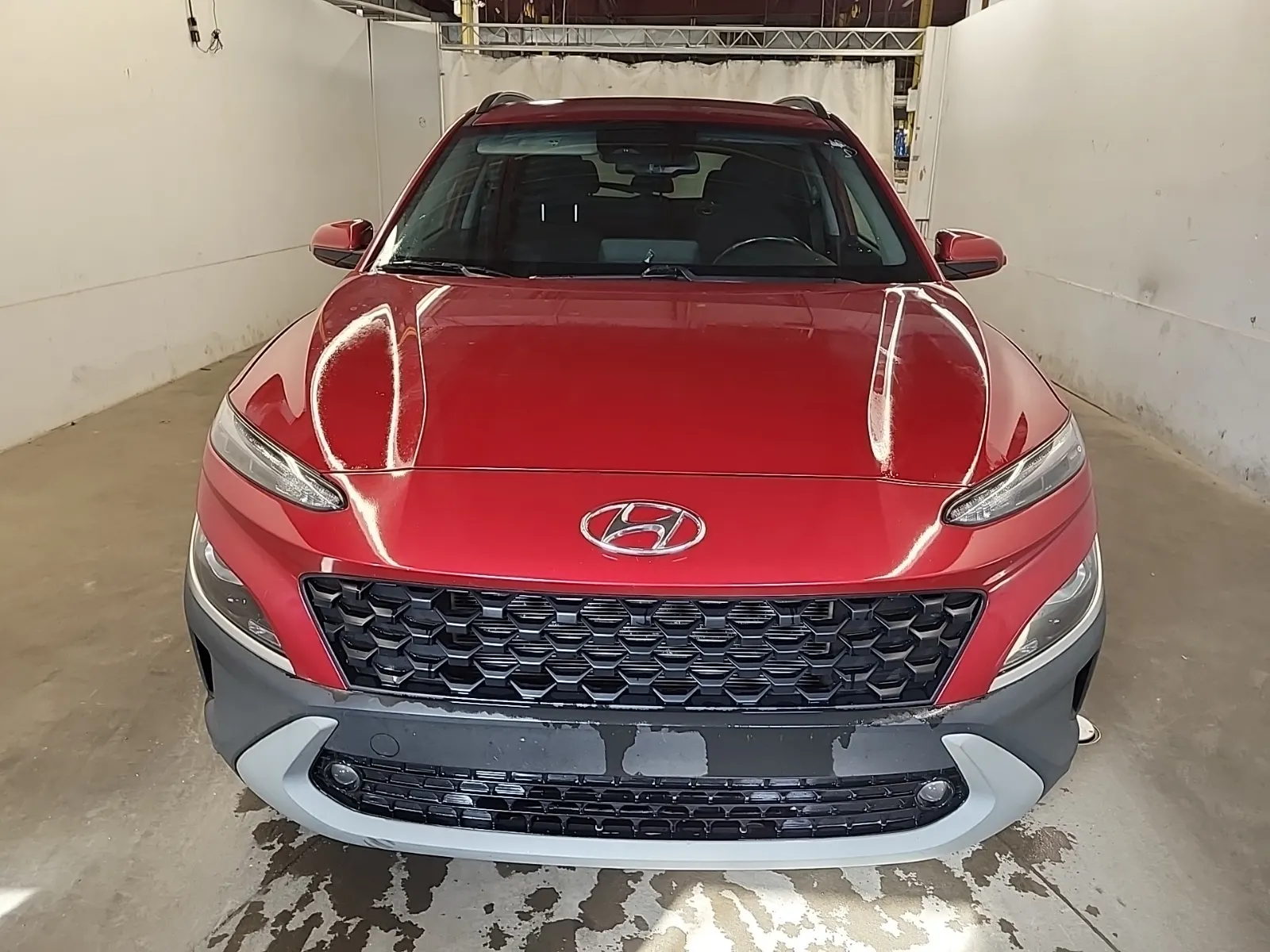Full Front Photo
