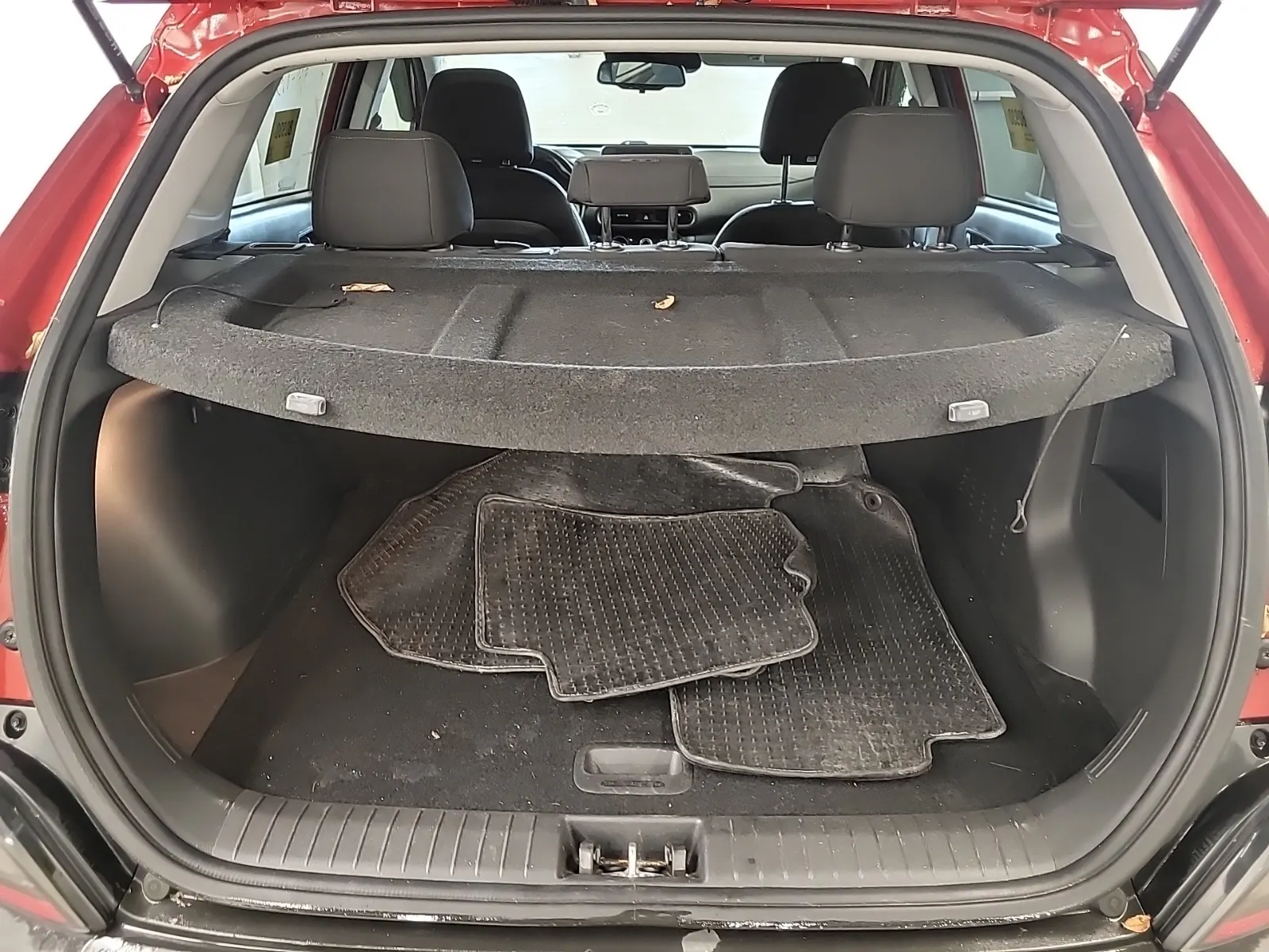Cargo Area Photo