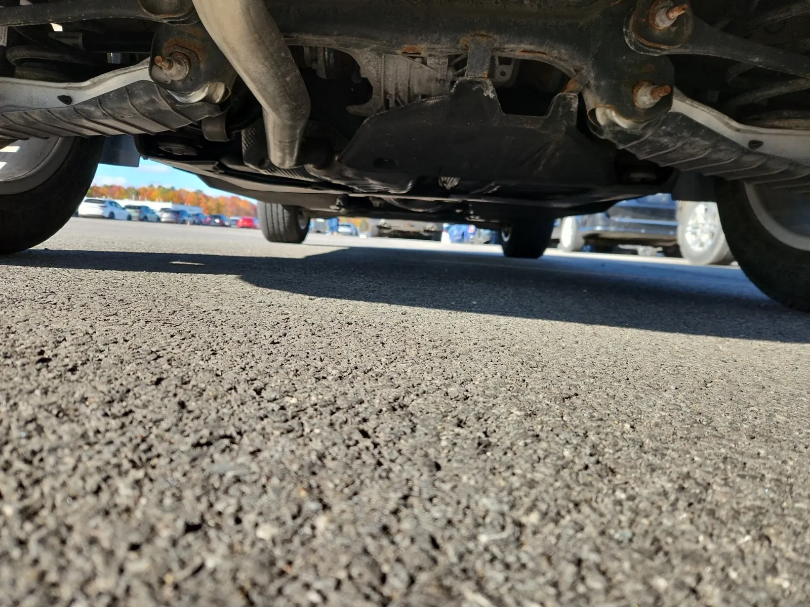 Undercarriage - Rear Photo