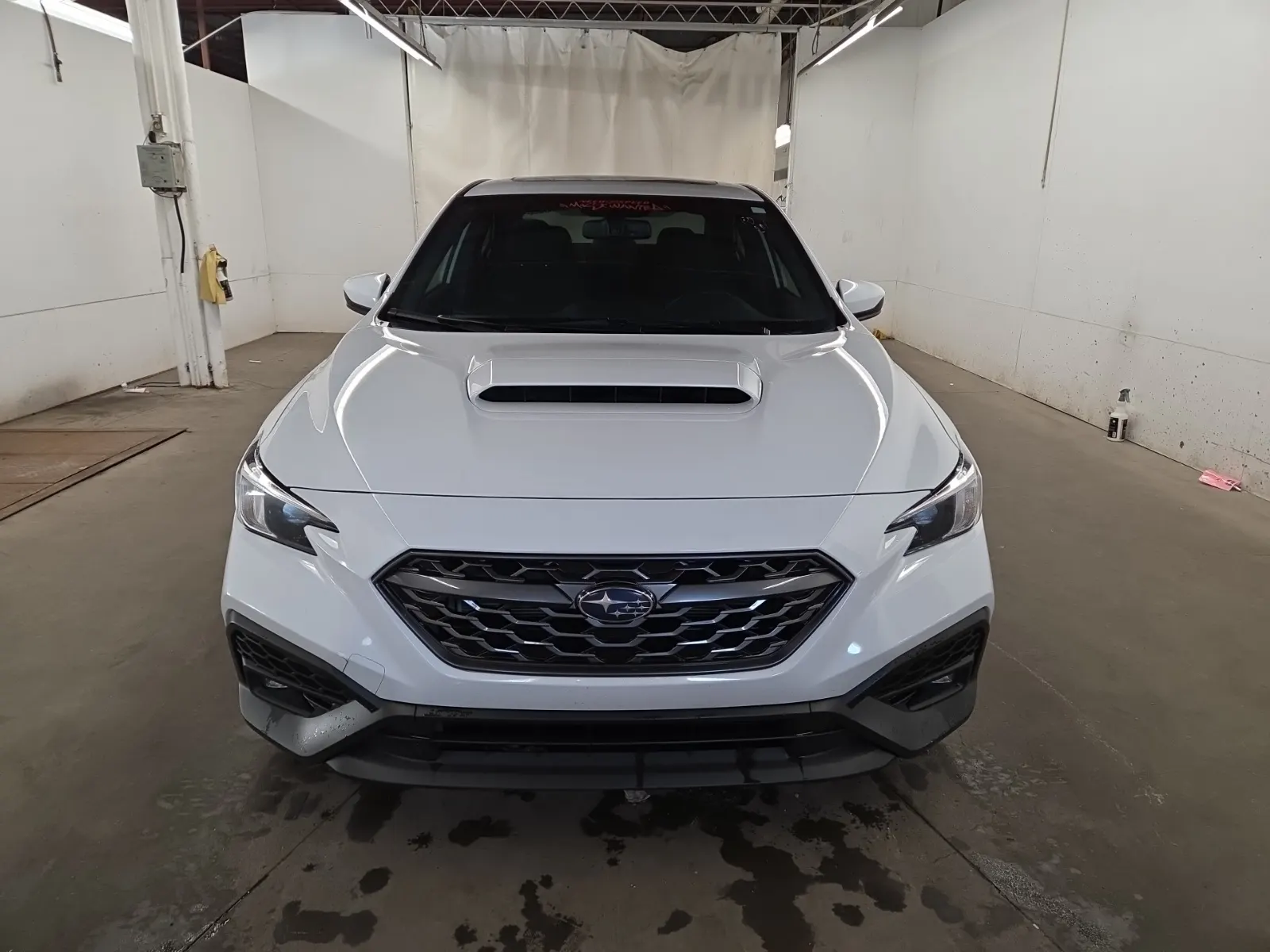 Full Front Photo