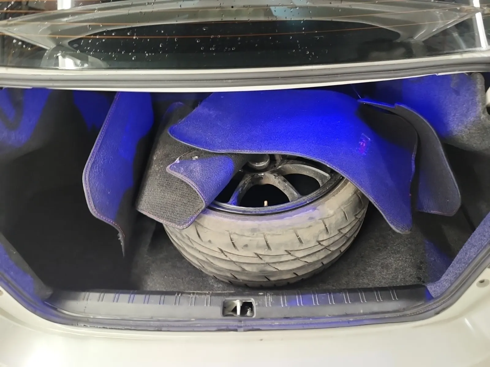 Cargo Area Photo