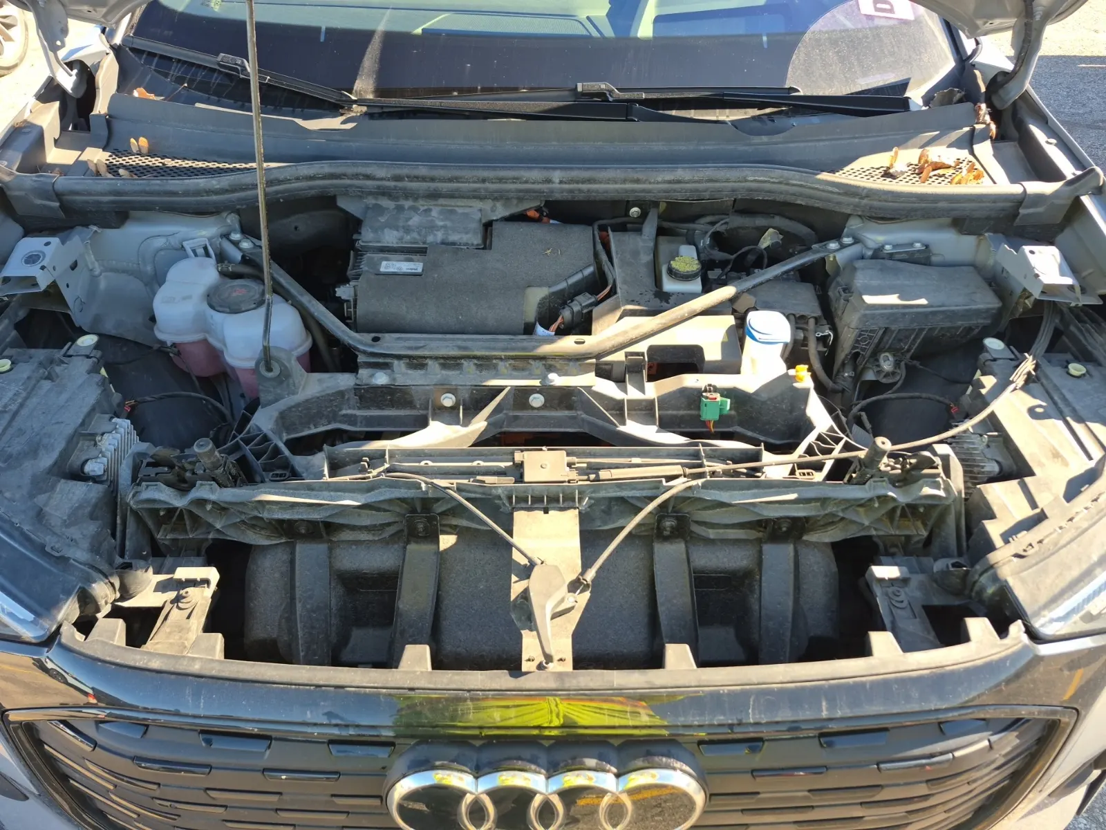 Engine Photo