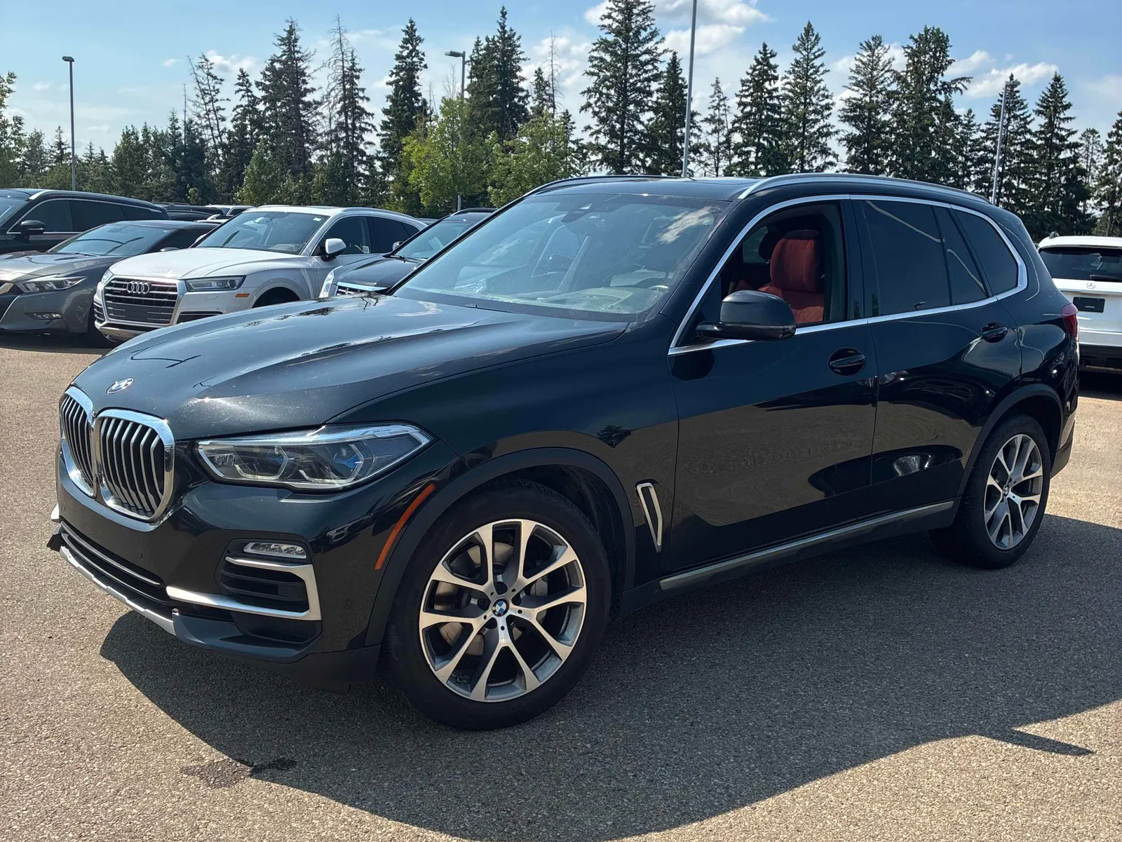 2019 BMW X5