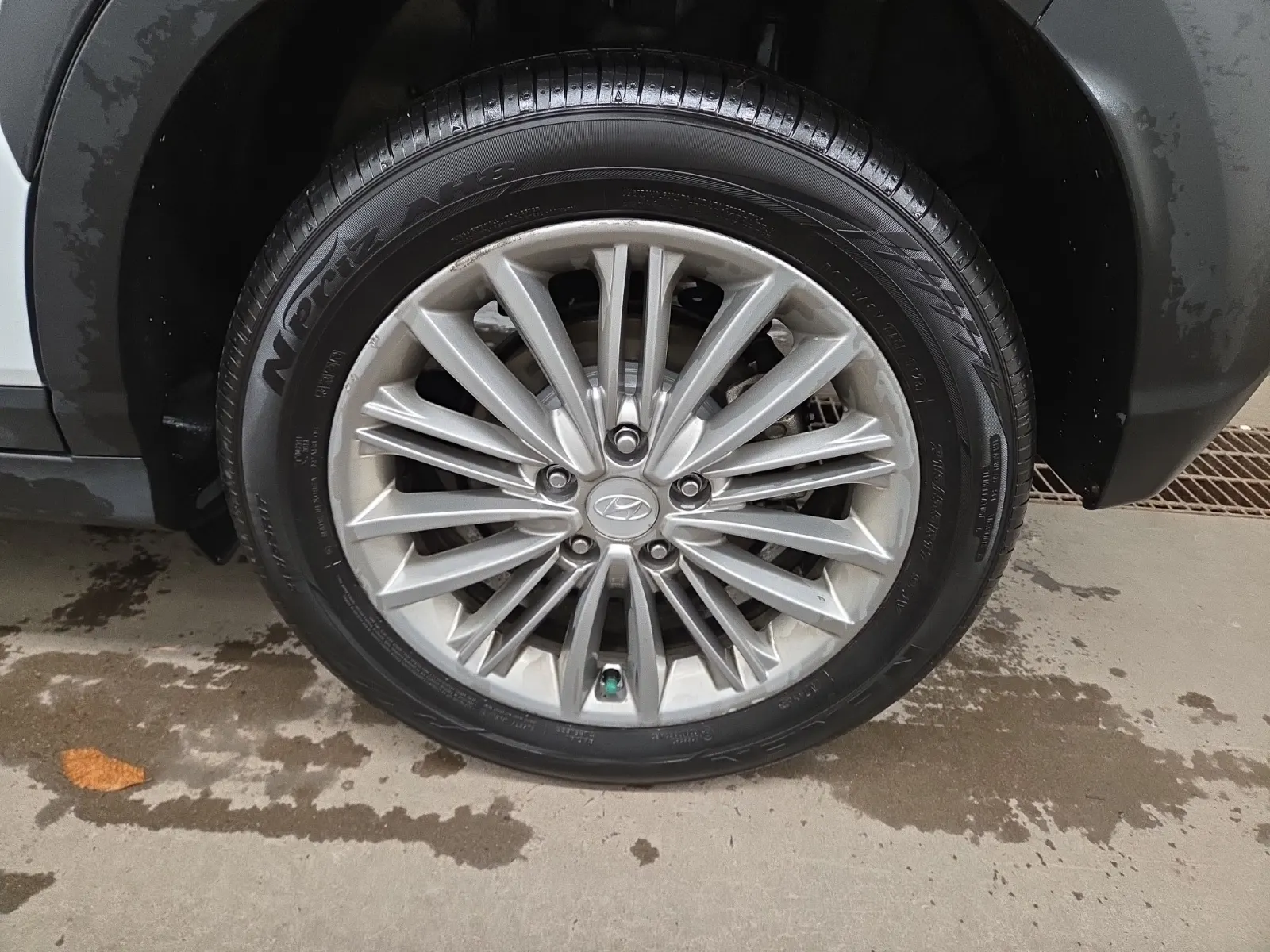 Left Rear Wheel/Tire Photo
