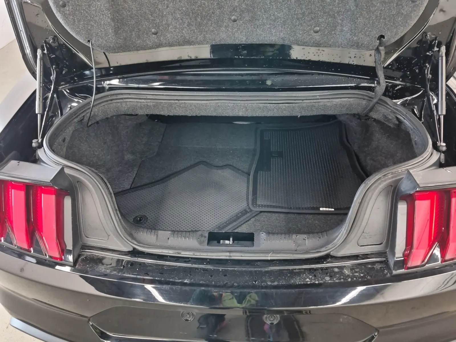 Cargo Area Photo