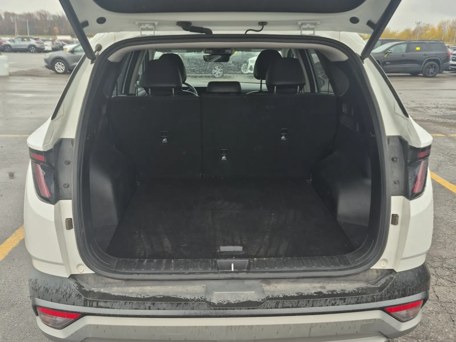 Cargo Area Photo